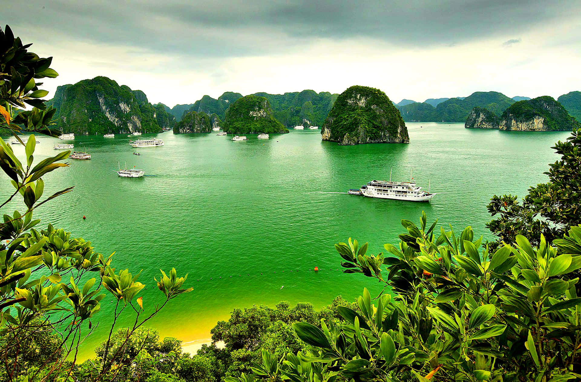 翠綠的海水，喀斯特島嶼和船隻被綠色樹葉環繞。