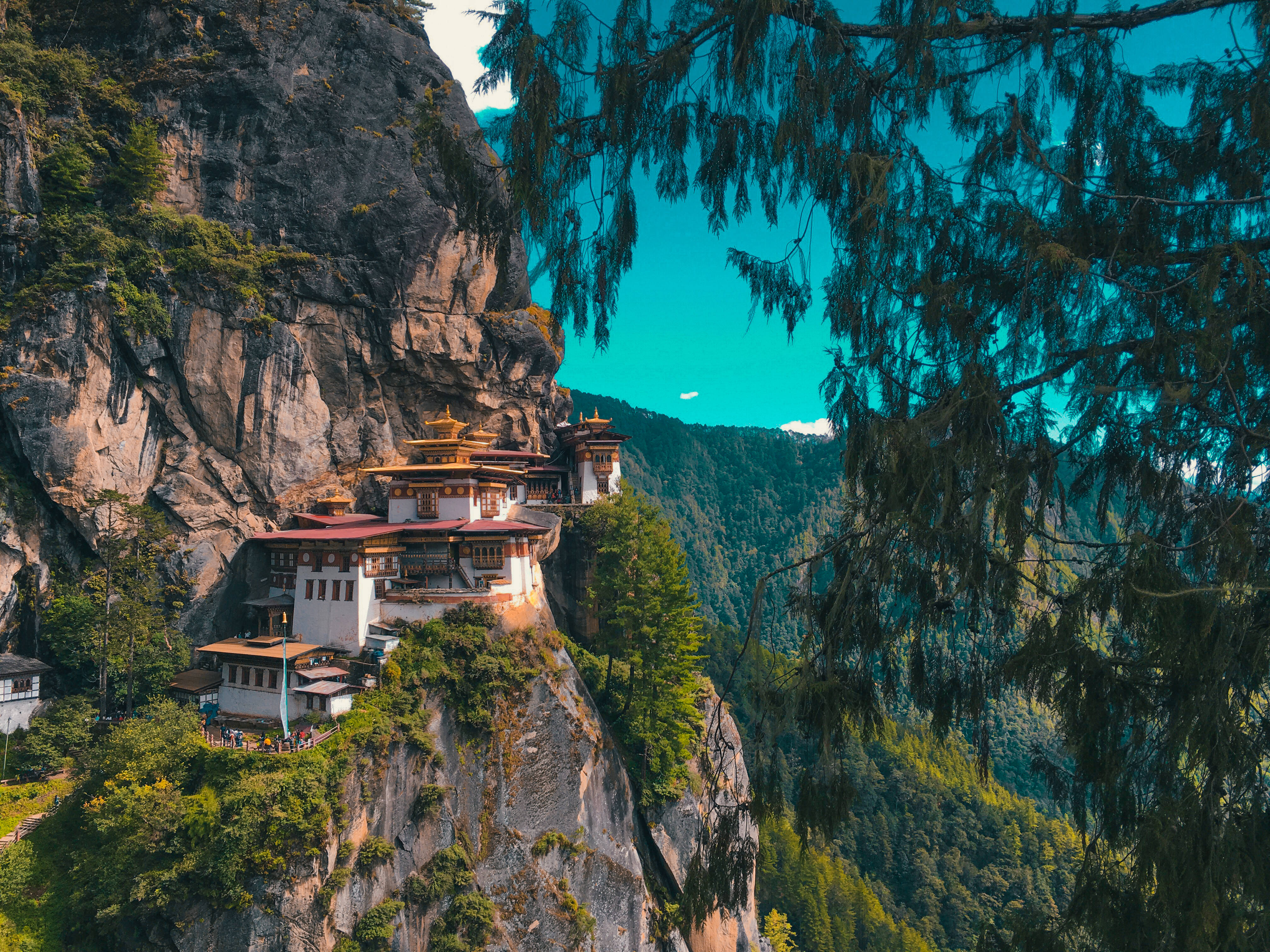 不丹塔克桑帕爾普格寺 壁紙 — 一座令人驚嘆的修道院緊貼在陡峭的懸崖邊，周圍環繞著茂密的綠色森林和充滿活力的藍綠色天空。