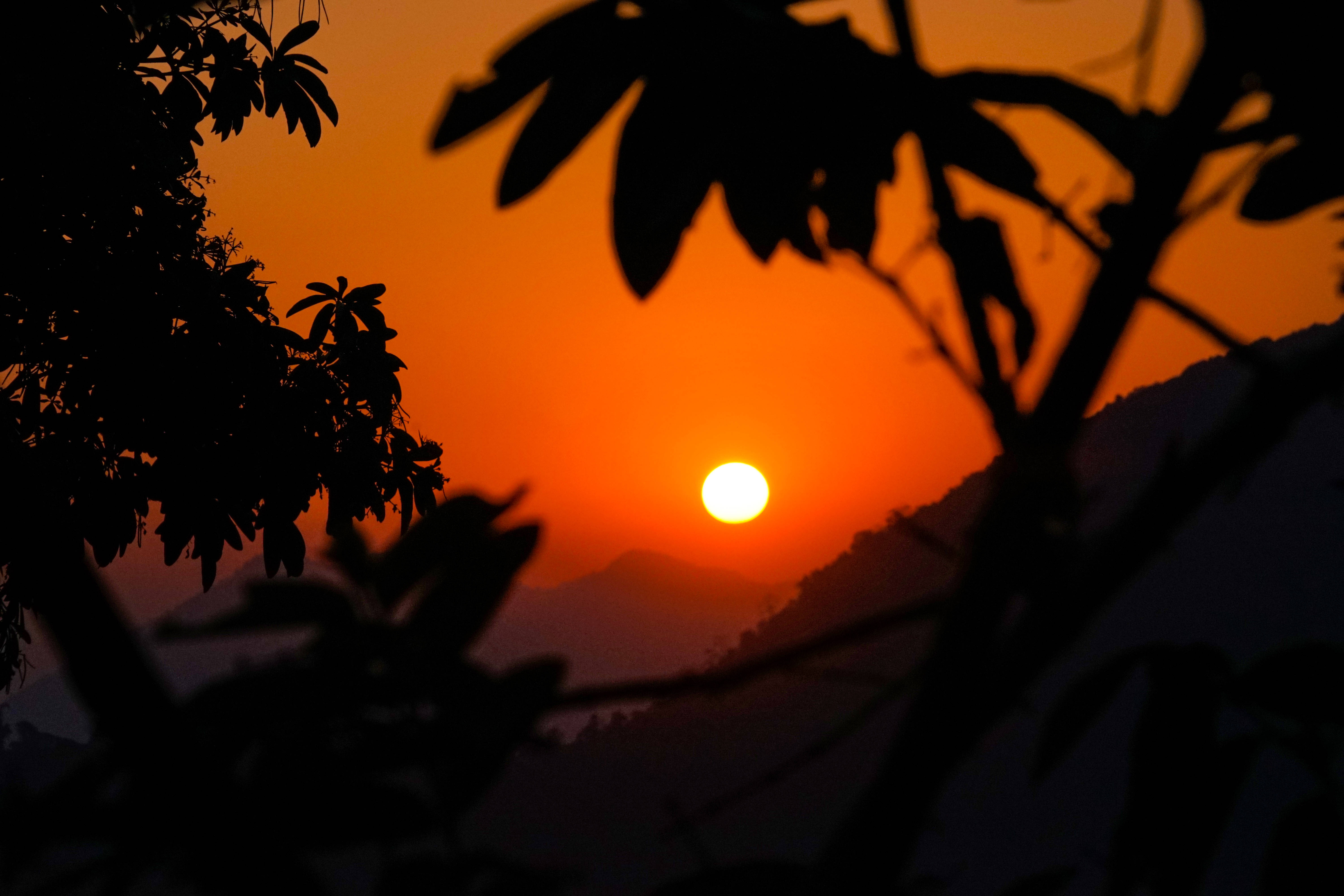 不丹橙色日落 壁紙 — 一顆鮮豔的橙色太陽落在遠山之後，被深色樹枝剪影框住。