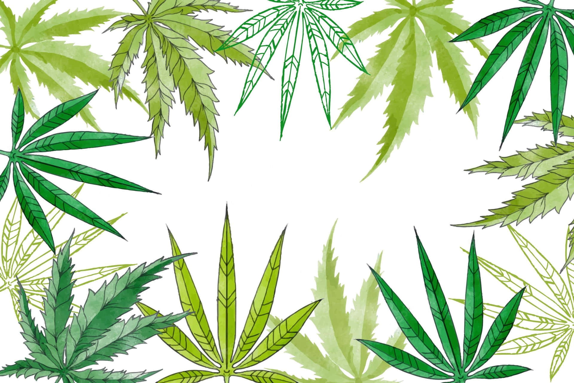 白色背景上的綠色大麻葉裝飾邊框。