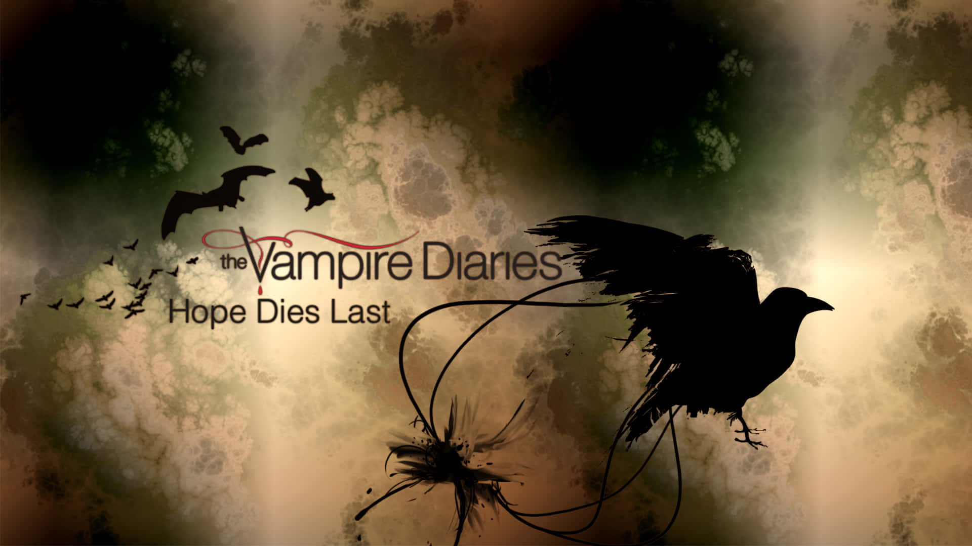 黑色的烏鴉和蝙蝠在帶有紋理的背景上飛翔，標題為《The Vampire Diaries》。