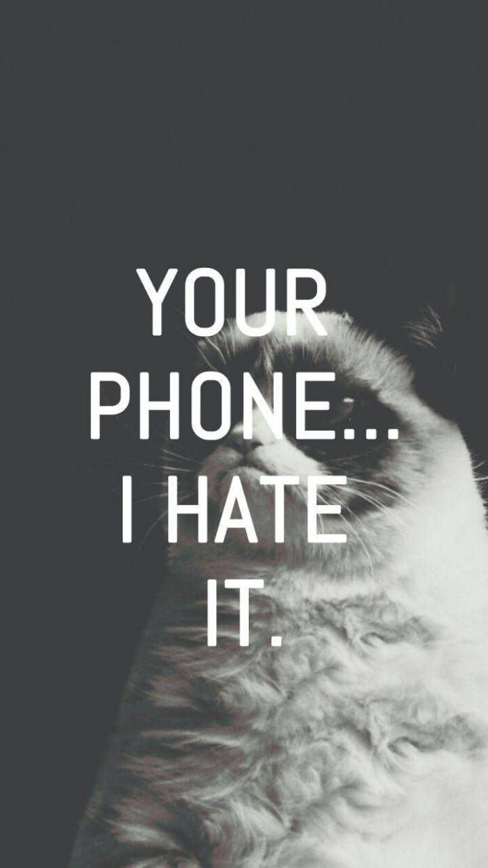 一隻帶有文字「YOUR PHONE... I HATE IT.」的脾氣暴躁的貓