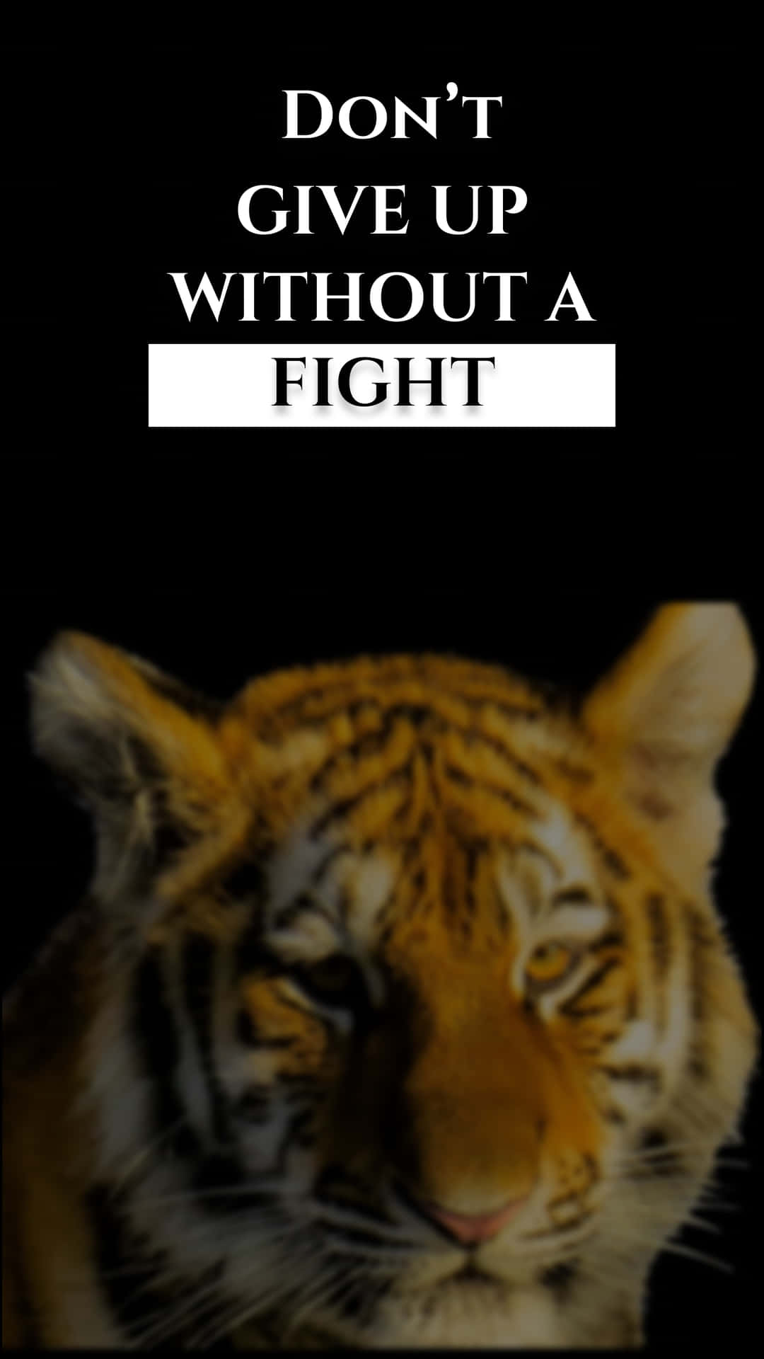 老虎配上文字 don't give up without a fight 在黑色背景上