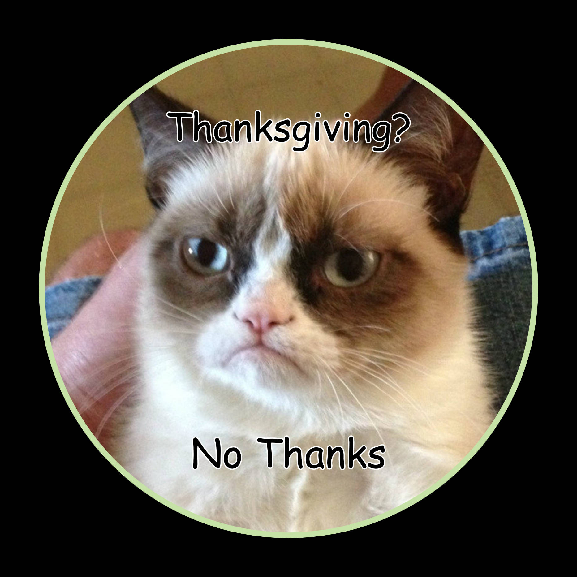 一隻帶有文字 Thanksgiving? No Thanks. 的悶悶不樂的貓。