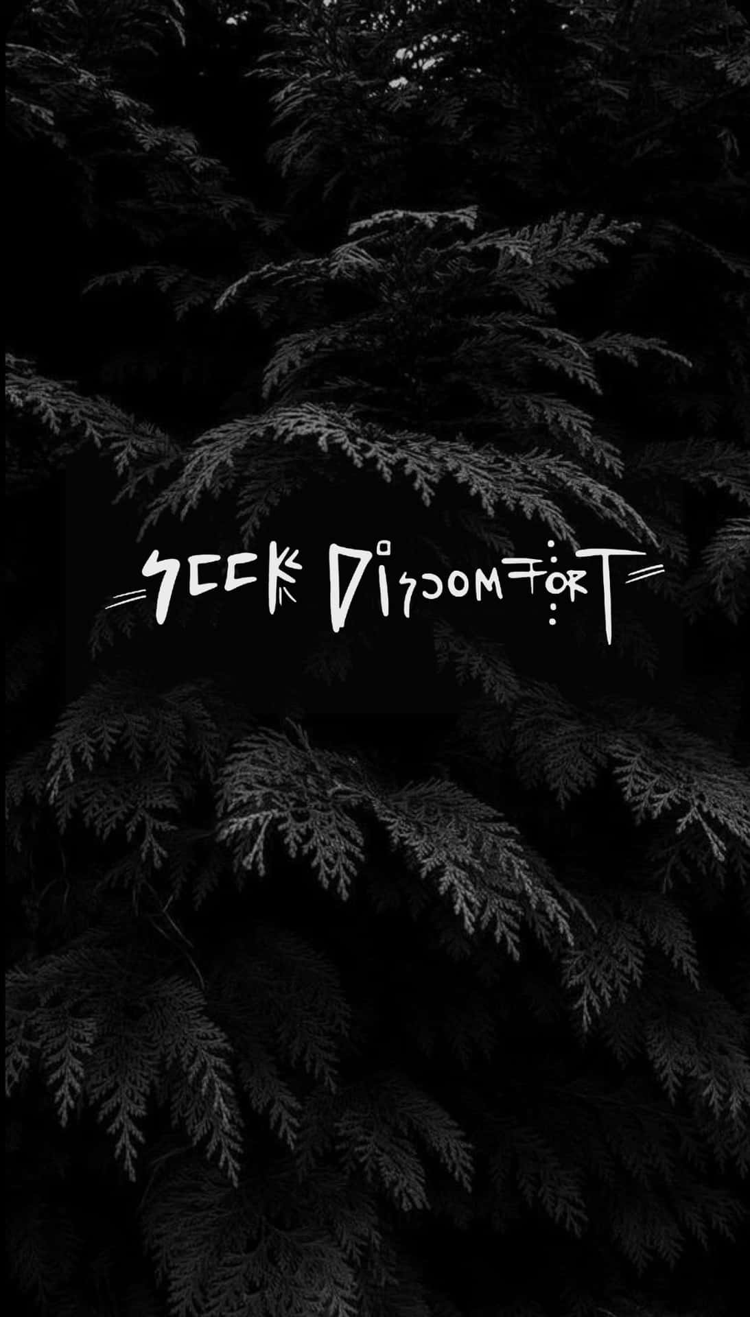 深色樹葉背景，白色文字「Seek Discomfort」