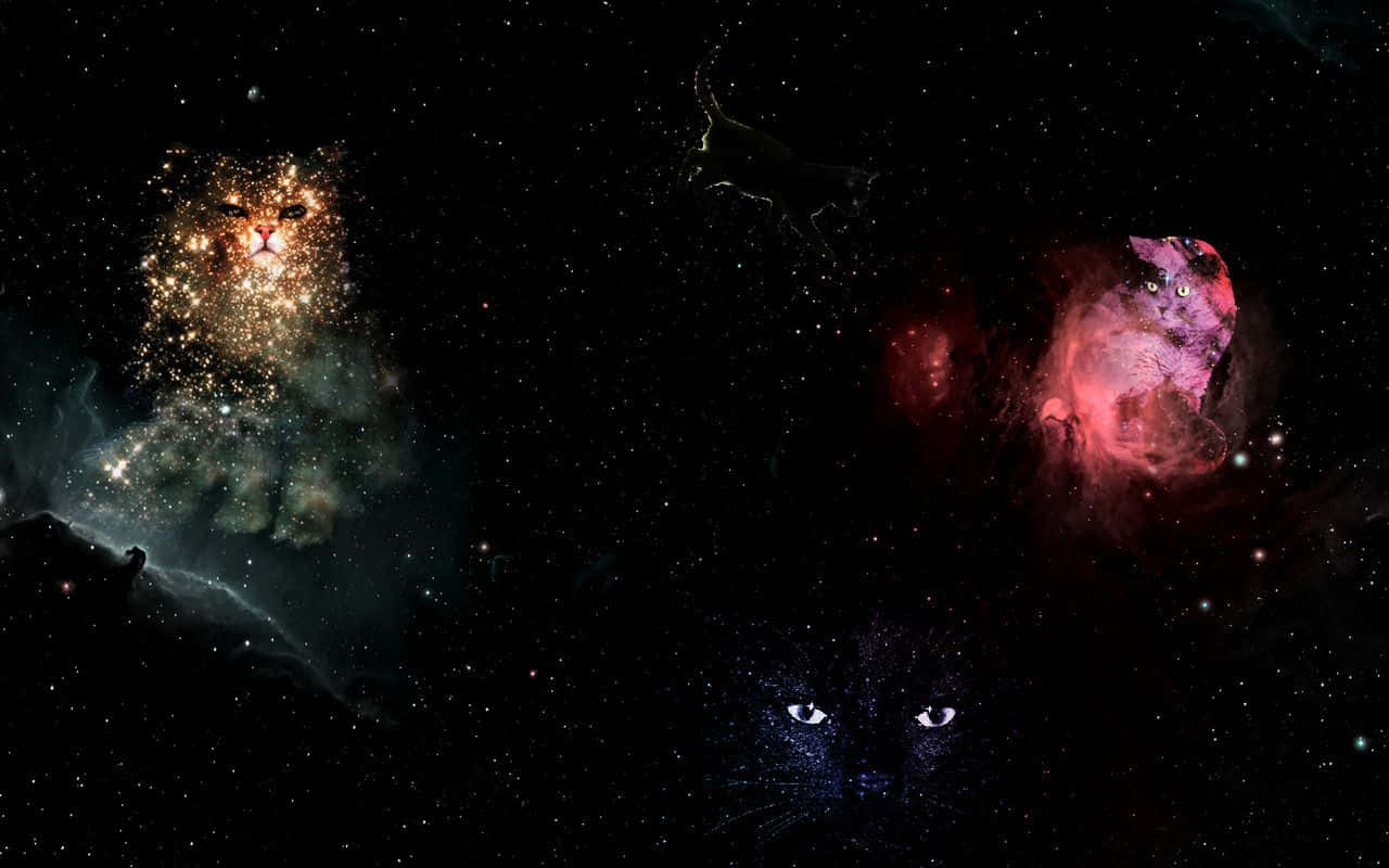 世界注意了，貓咪來了！ 壁紙 — 一隻發光眼睛的宇宙貓從星空中凝視，星雲在深空中形成天體貓的剪影。