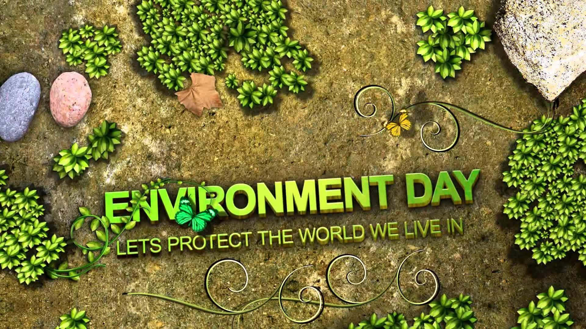 Environment Day訊息，帶有綠色文字和蝴蝶在長滿苔蘚的地面上。