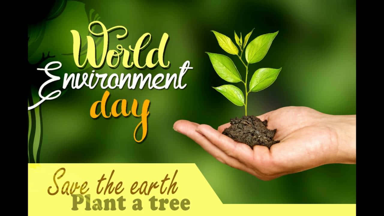 手捧著幼樹苗，附有World Environment Day文字。