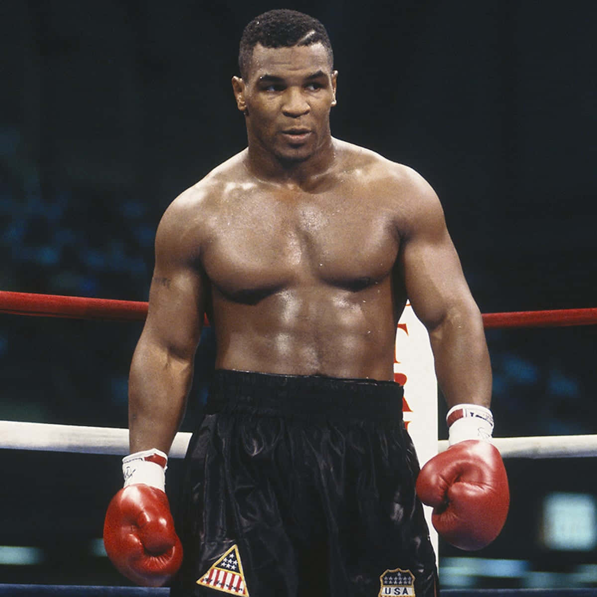世界重量級拳擊冠軍邁克·泰森 壁紙 — Mike Tyson 站在拳擊台上，戴著紅色手套和帶有美國補丁的黑色短褲，汗水在明亮的競技場燈光下閃耀在他肌肉發達的軀幹上。