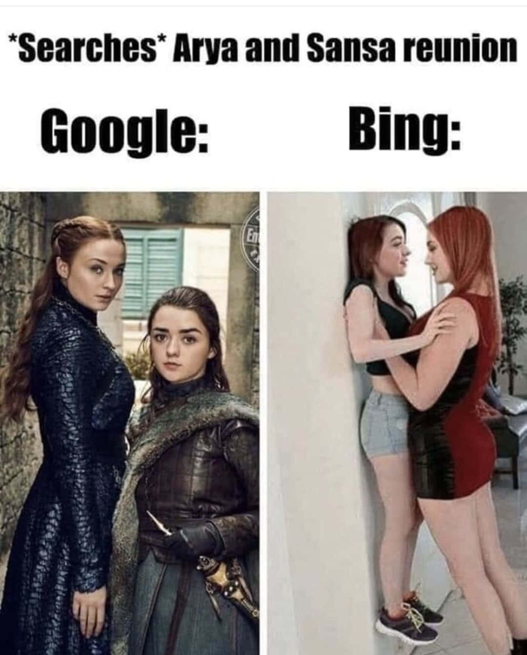 Learning Memes 桌布 壁紙 — 並排迷因比較 Arya 和 Sansa 嚴肅的重逢場景與她們擁抱的俏皮粉絲藝術版本。