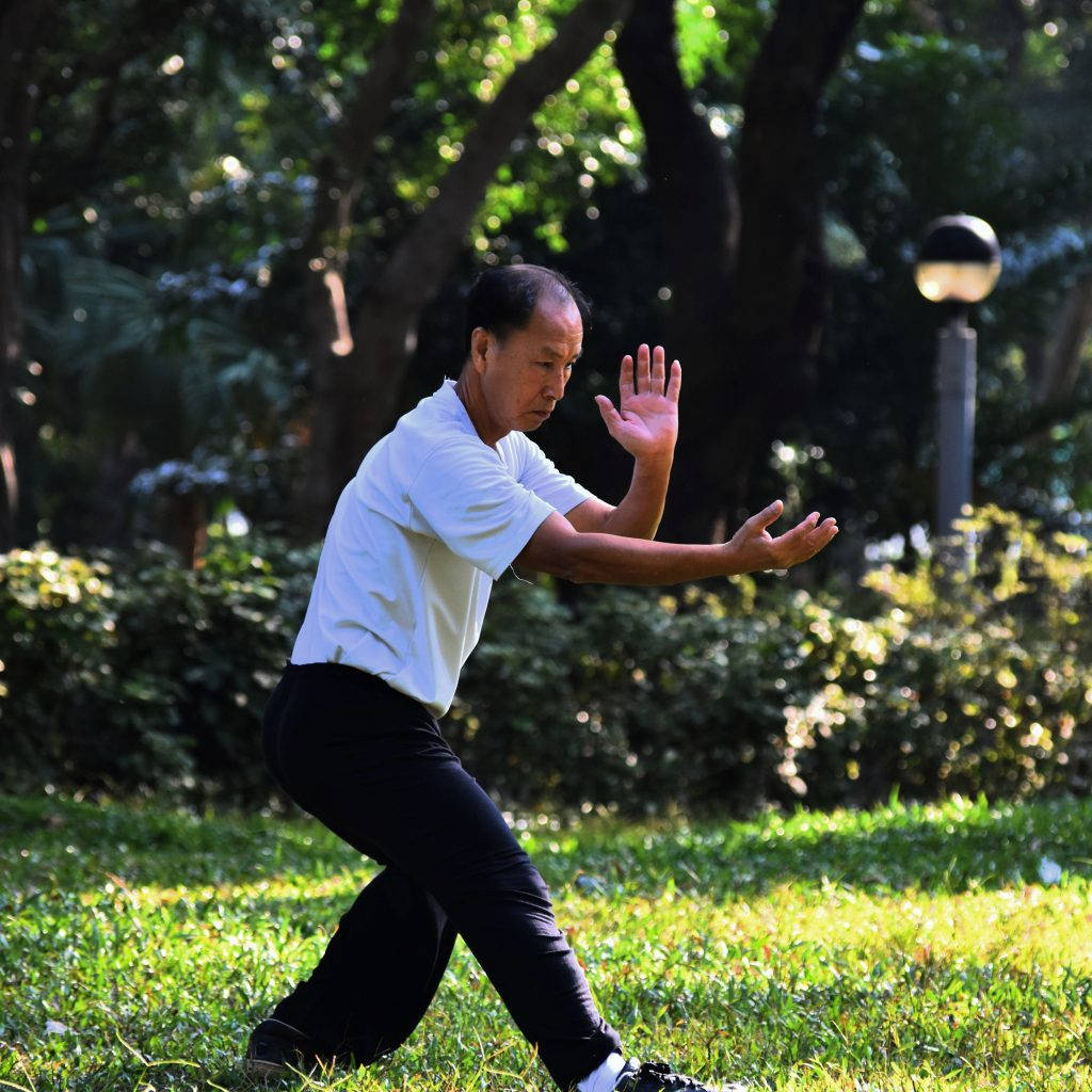 男性在陽光明媚的公園中練習武術，被綠意環繞。
