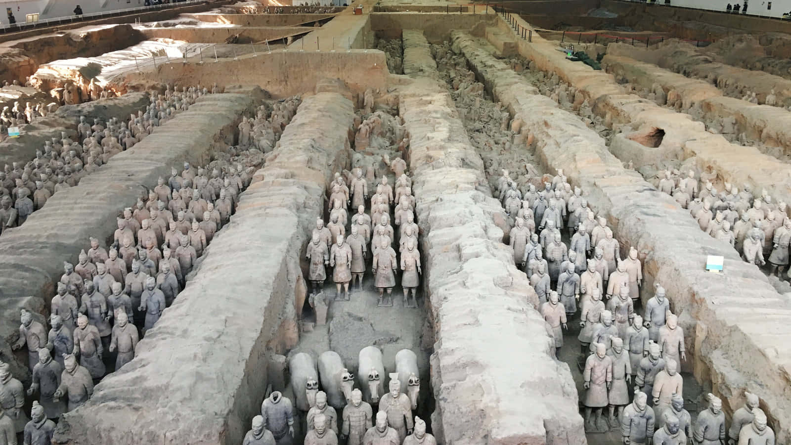 中國博物館巨型陶俑雕塑 壁紙 — 一排排古代兵馬俑在明亮的日光下，整齊地排列在已發掘的考古坑道內。