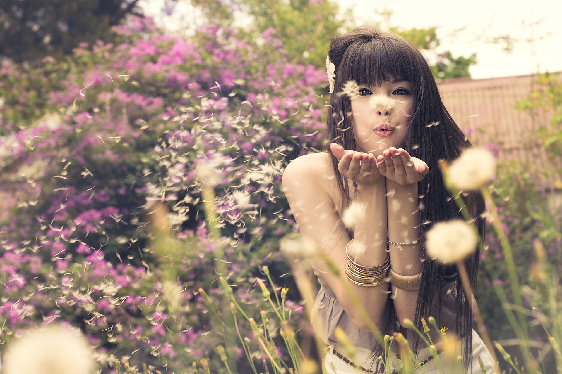 女性在紫色花園中吹散蒲公英種子