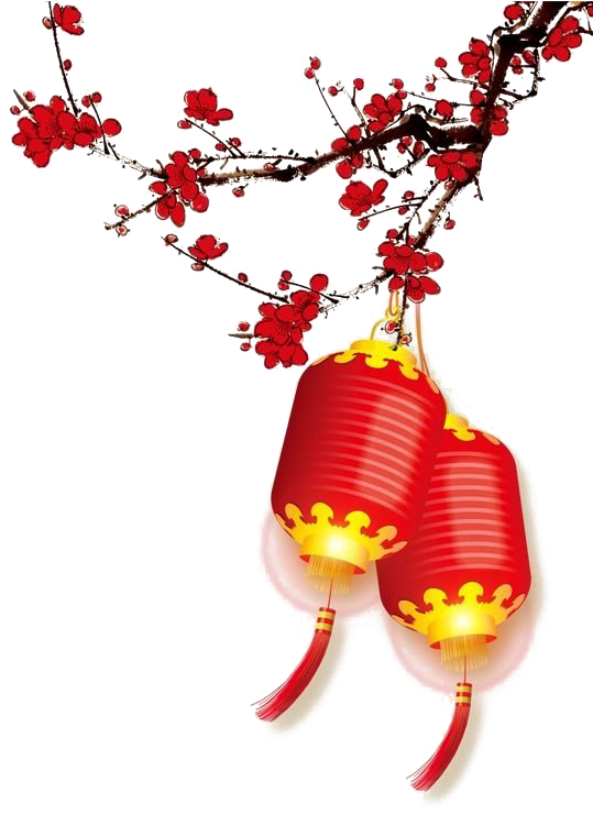 中國新年燈籠與梅花枝 壁紙 — 兩個發光的紅色燈籠掛在鮮紅色花朵的樹枝上，背景是純黑色。