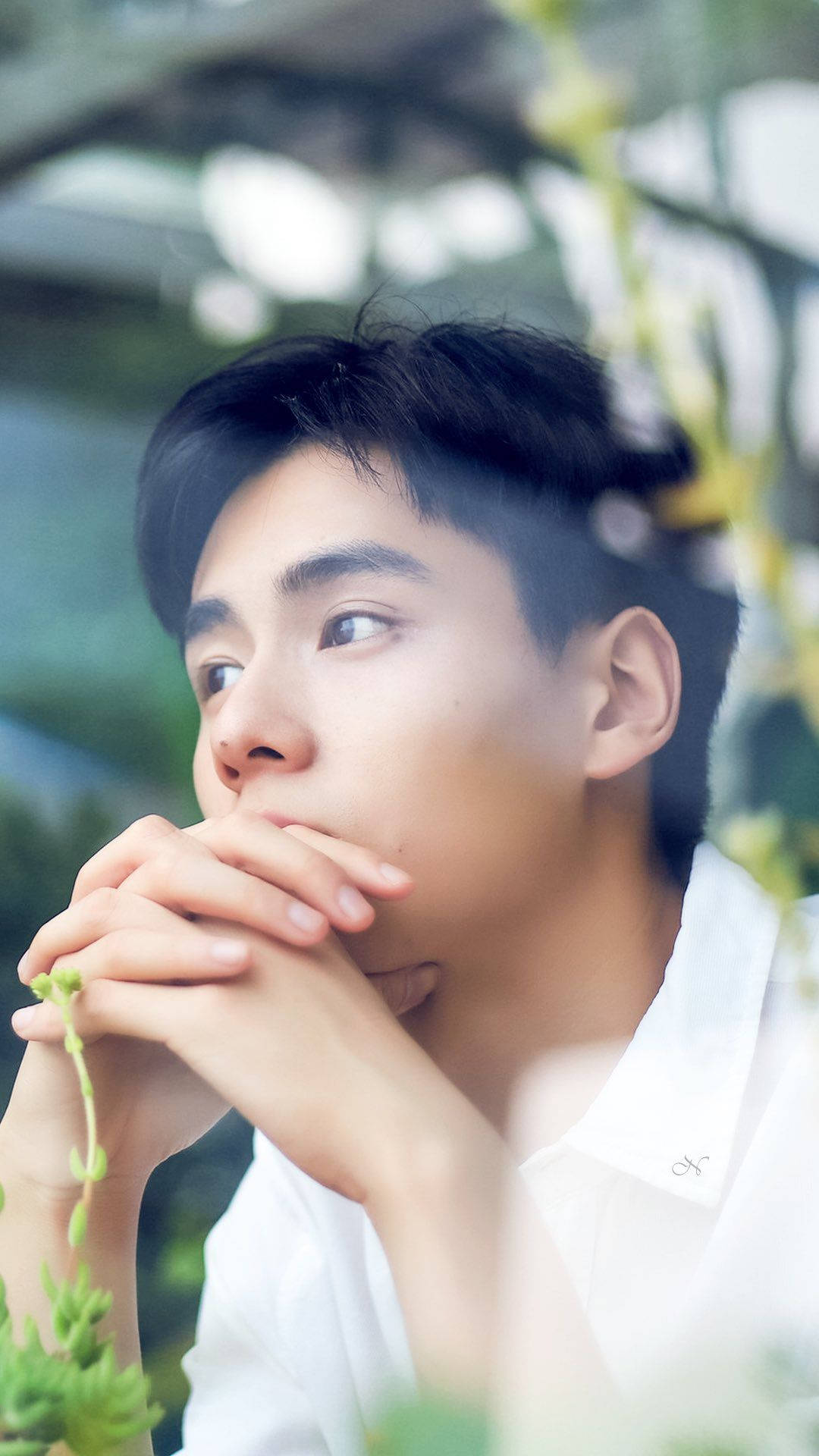 中國演員胡一天 壁紙 — 一位身穿白襯衫的年輕男子在柔和的綠色樹葉中雙手合十靠近嘴唇，若有所思地向上凝視。