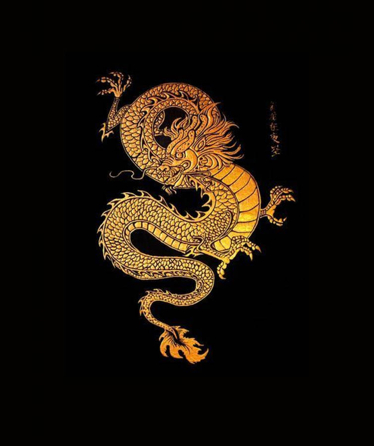 中國風金龍向量藝術 壁紙 — 一條威嚴的金龍在純黑背景上動態盤旋，帶有精細的鱗片和飄逸的鬃毛。