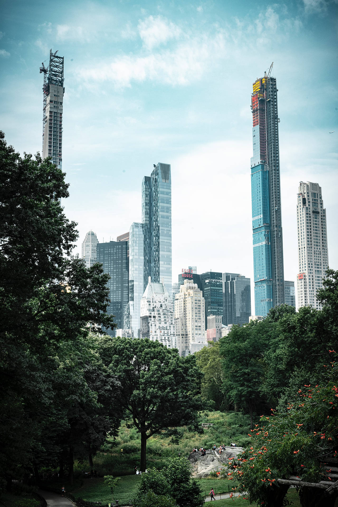 中央公園外的摩天大樓 壁紙 — 鬱鬱蔥蔥的綠色公園，樹木和人們構成了背景，高聳的摩天大樓在明亮的藍天和白雲下。