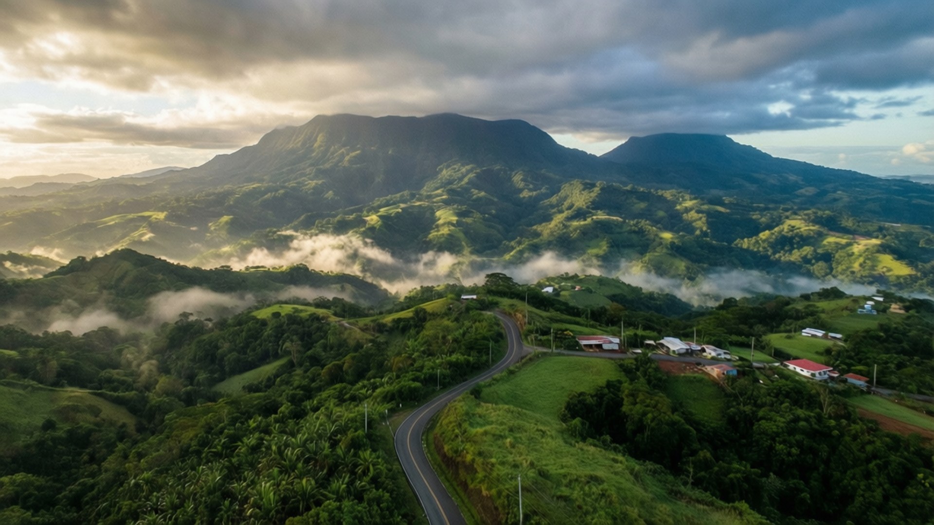 黎明時分，蜿蜒的道路穿過霧氣瀰漫的綠色山丘，遠處有山脈