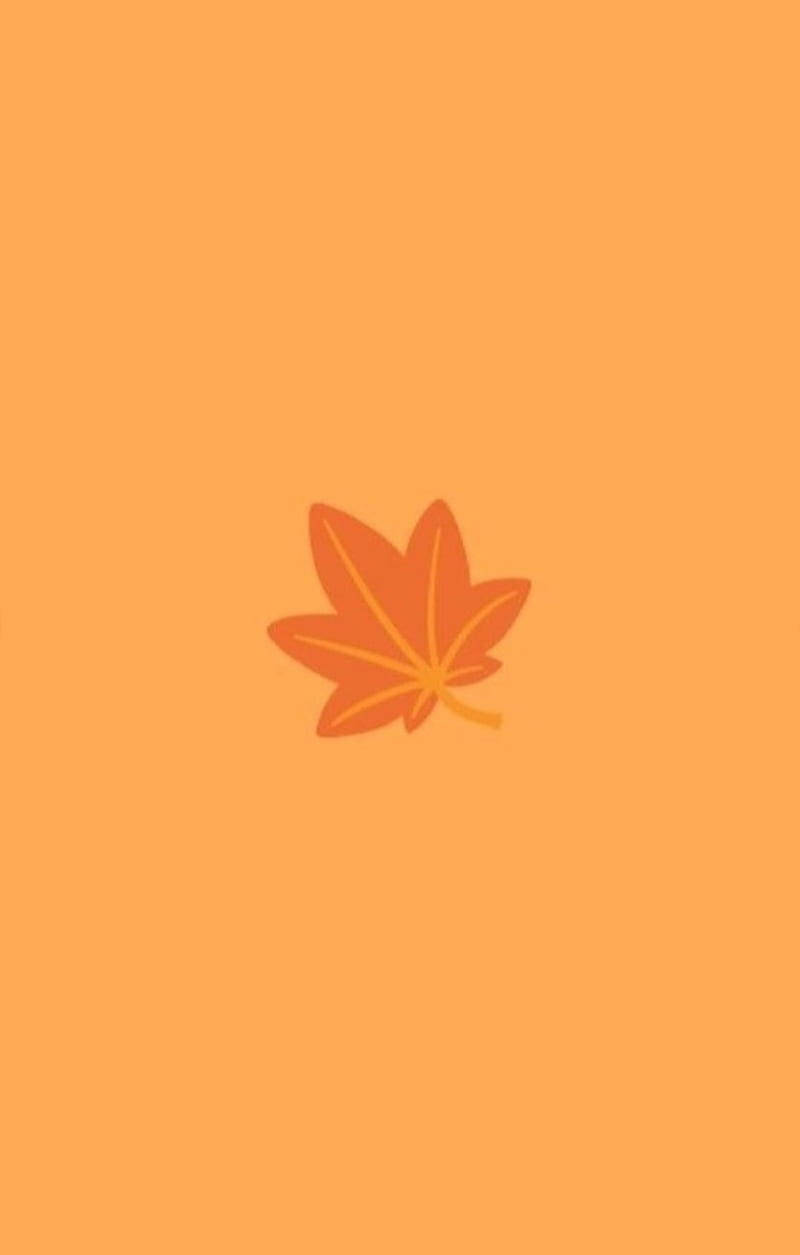 一片橙色楓葉在純橙色背景上。