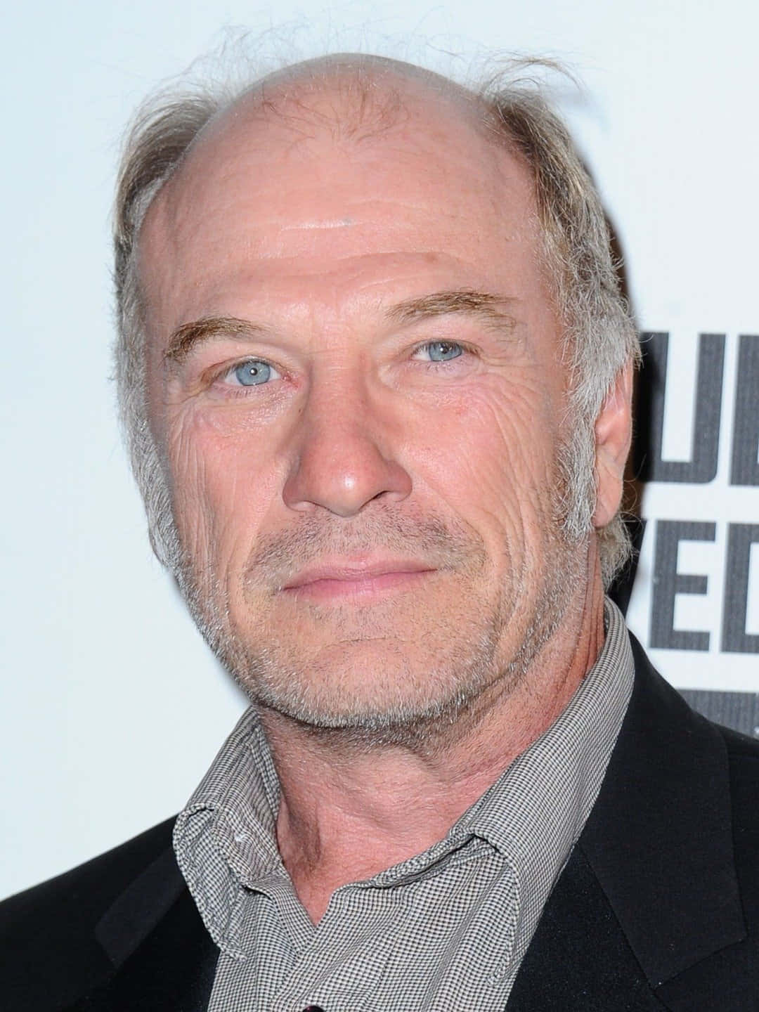 Ted Levine 桌布 壁紙 — 中年男子嘅特寫肖像，藍眼睛、灰頭髮，著住黑色西裝外套配格仔恤衫。