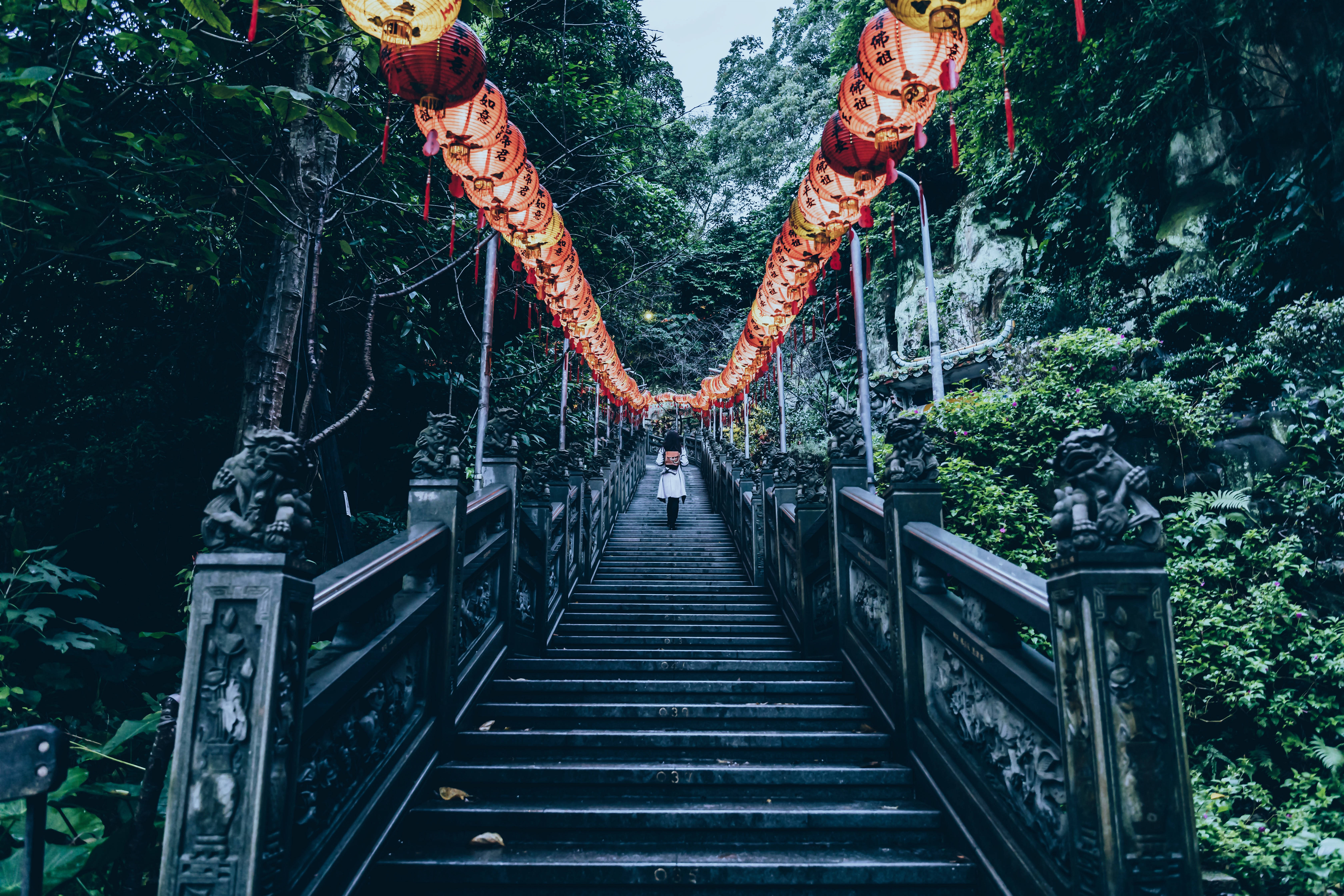 中式旅遊景點 壁紙 — 一個孤獨的身影穿過茂密的綠色森林，登上兩旁有雕刻欄杆和發光紅色燈籠的石階。