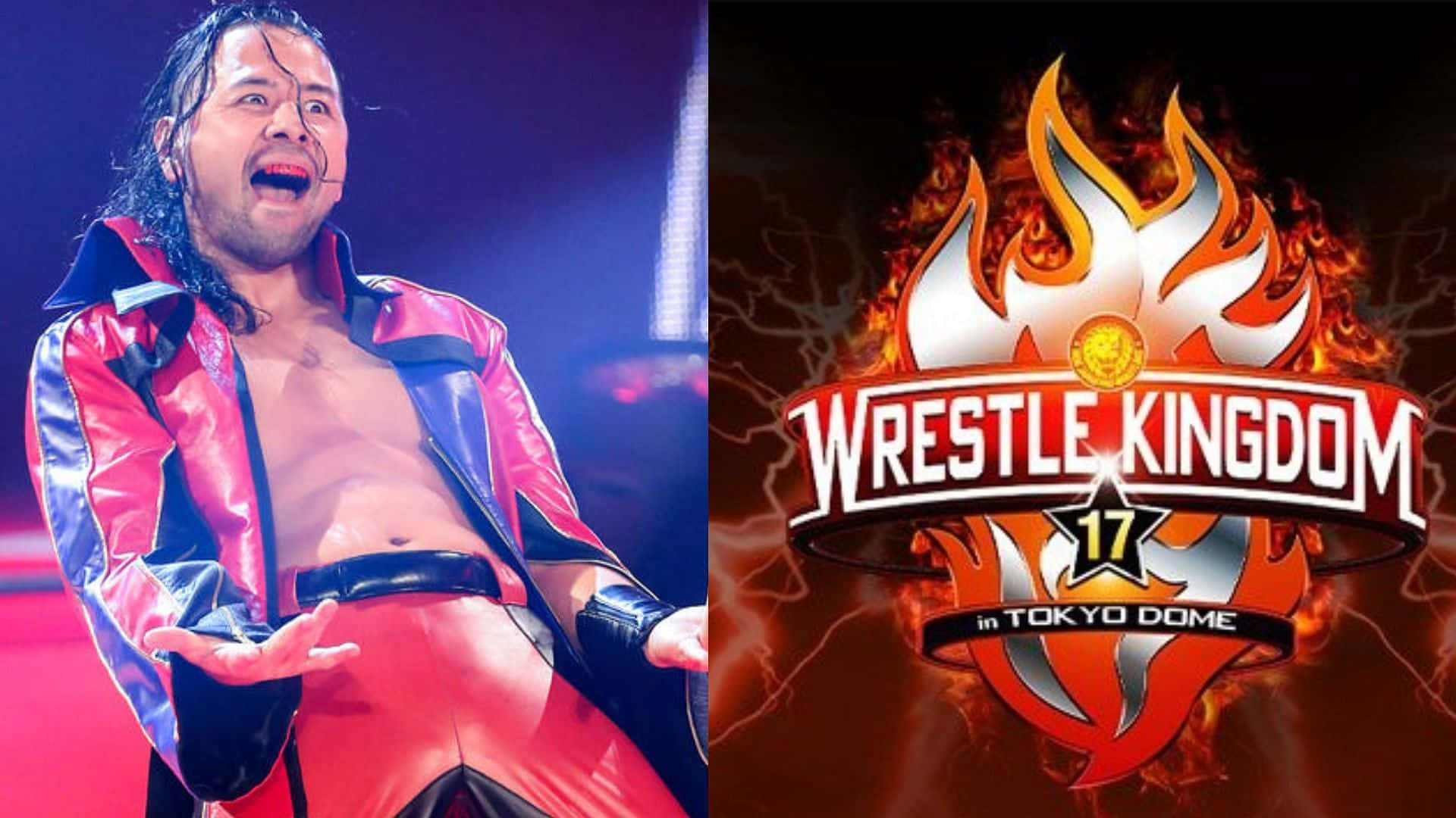 身穿紅藍服裝的摔角手在Wrestle Kingdom 17東京巨蛋活動中表演。