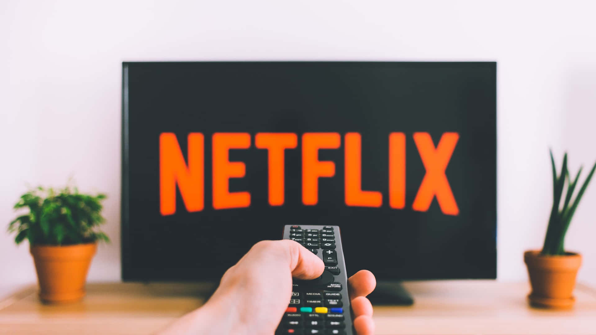 手拎住遙控器指向電視，電視顯示Netflix標誌，兩邊有植物。