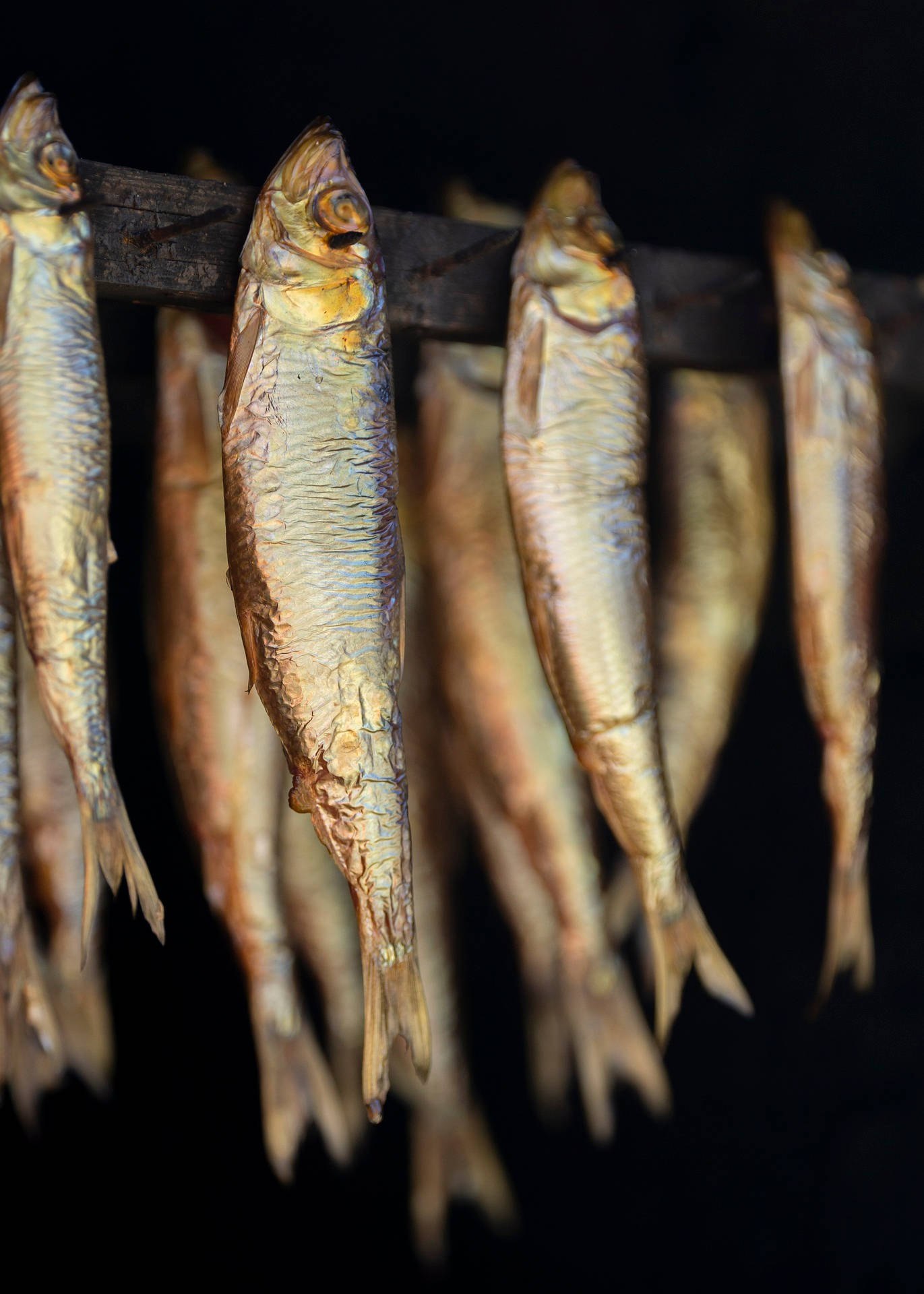 串起的乾燥小鯡魚 壁紙 — 乾魚掛在木架上排成一排，背景深色，展示其紋理鱗片和金棕色色調。