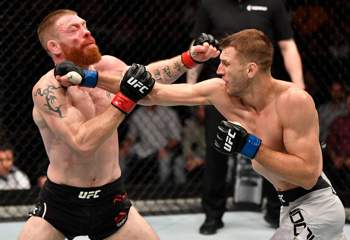 兩名戴著MMA手套的男性拳手在八角籠內互相出拳。