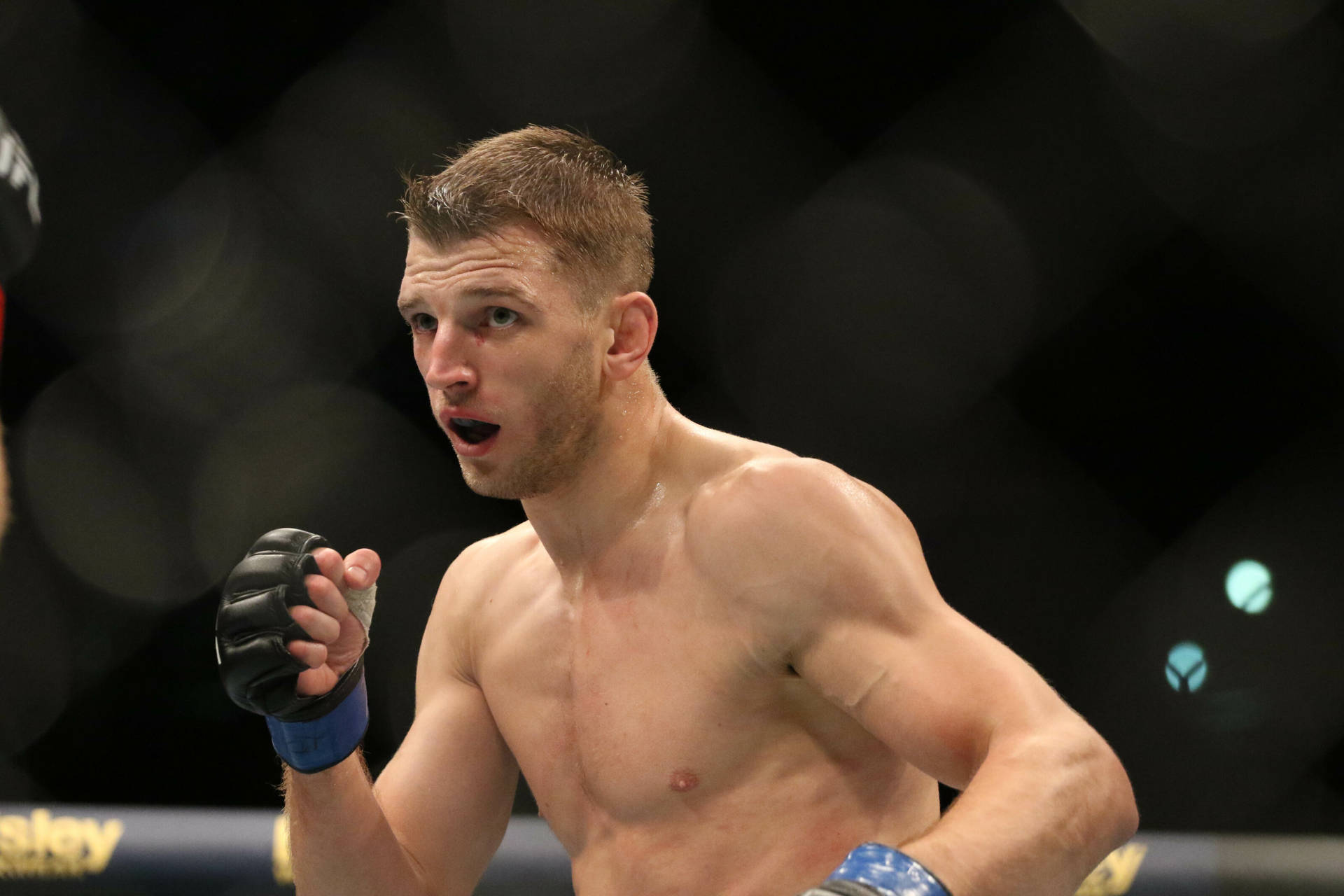 一名流著鼻血的男性MMA拳手在八角籠比賽中呼喊。