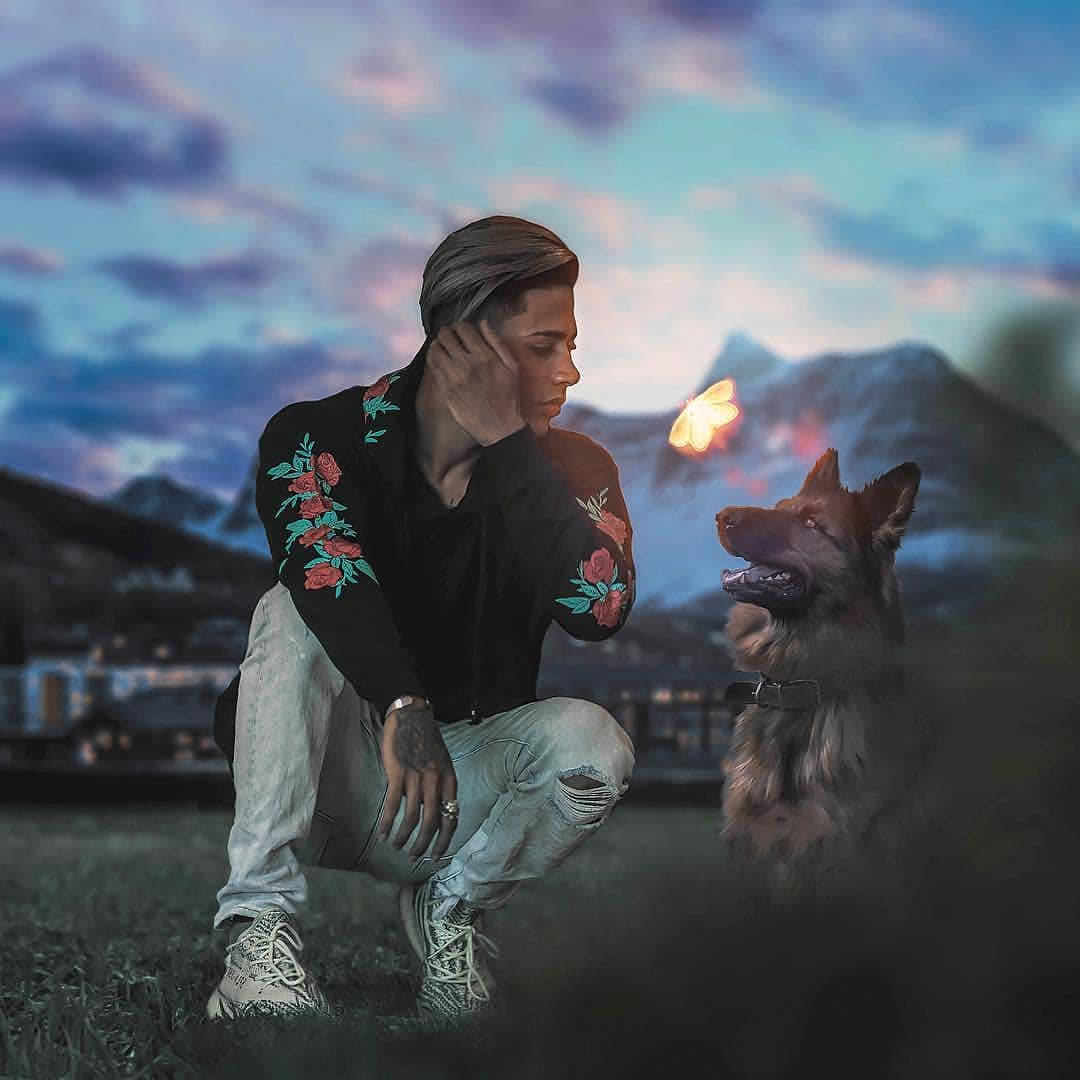 丹尼什·澤亨高清狼犬 壁紙 — 一個年輕人在暮色草原上蹲下，凝視著一隻蝴蝶，他的德國牧羊犬在山的背景下看著。
