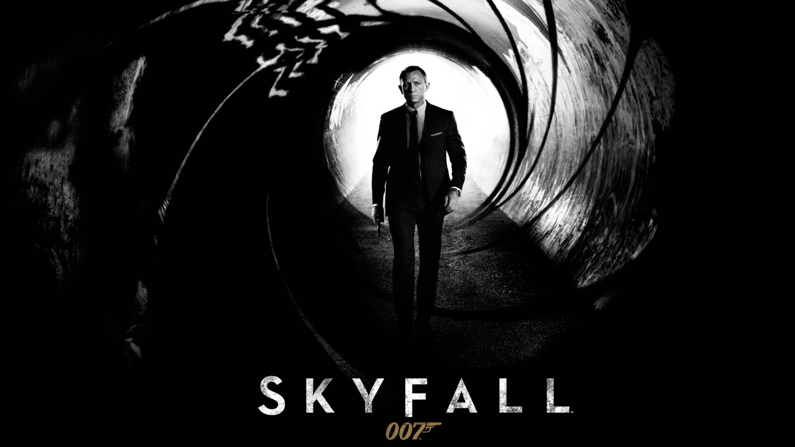 丹尼爾·克雷格 007特工 壁紙 — 一名穿西裝的男子站在槍管圓形視野的中心，下方有黑白 'SKYFALL' 文字。