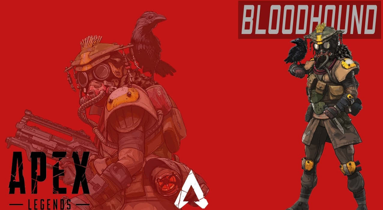 主宰《Apex英雄》大逃殺戰場 壁紙 — 《Apex Legends》角色 Bloodhound 身穿全套戰術裝備，肩上棲息著一隻烏鴉，背景為大膽的紅色。