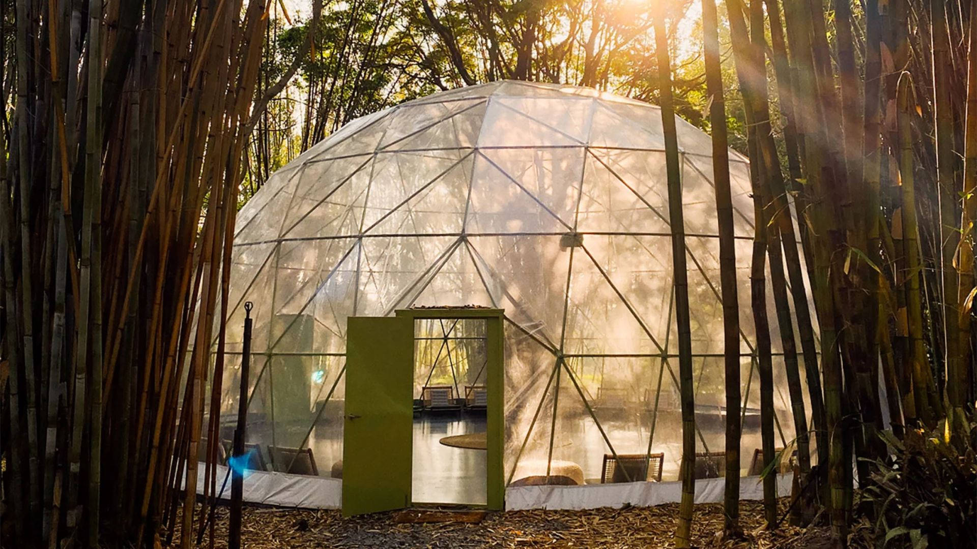 玻璃圓頂小屋被竹林環繞，敞開的門露出內部。