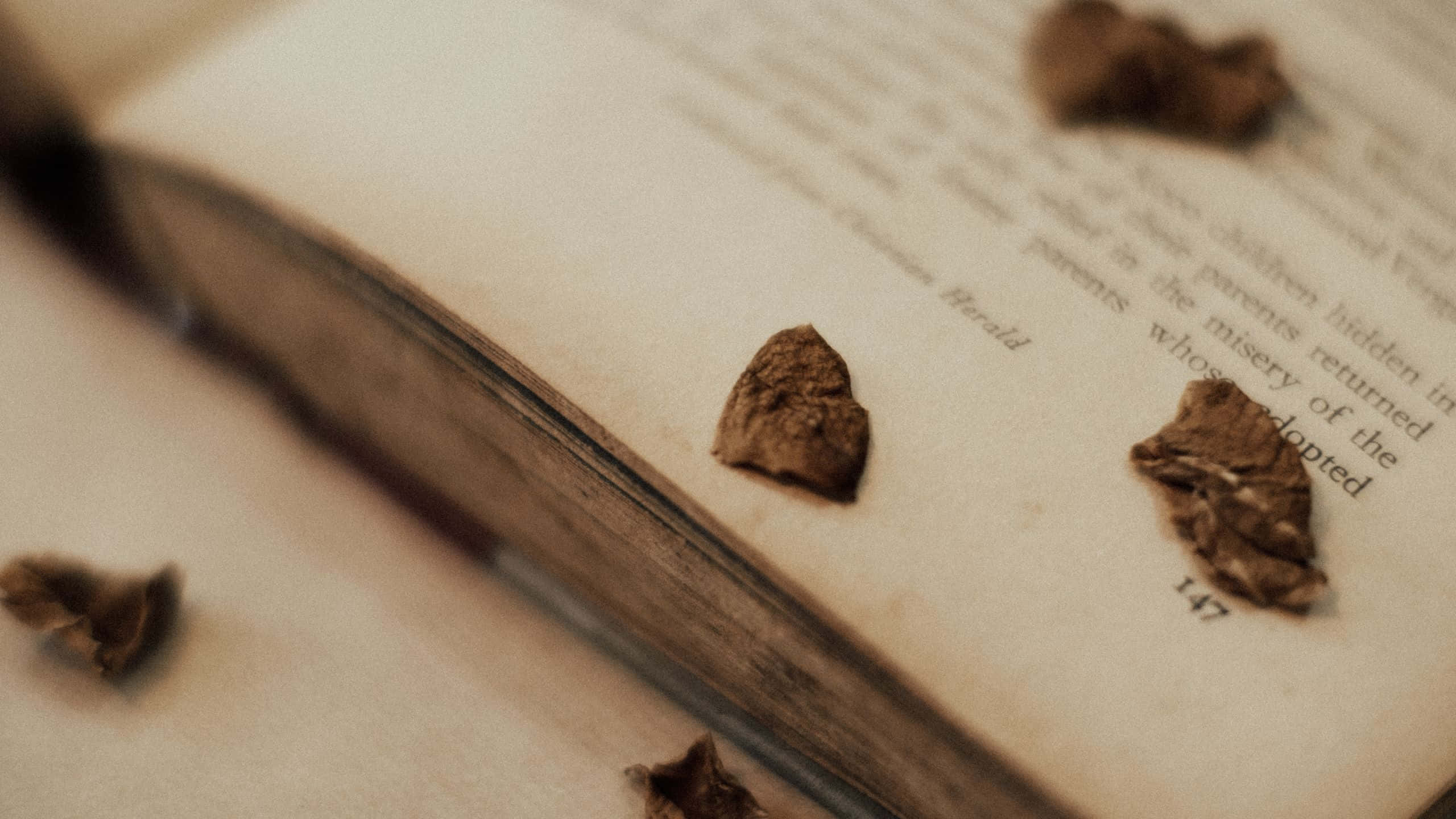 Vintage Aesthetic 桌布 壁紙 — 乾燥樹葉散落在打開的舊書頁上，文字模糊的特寫。