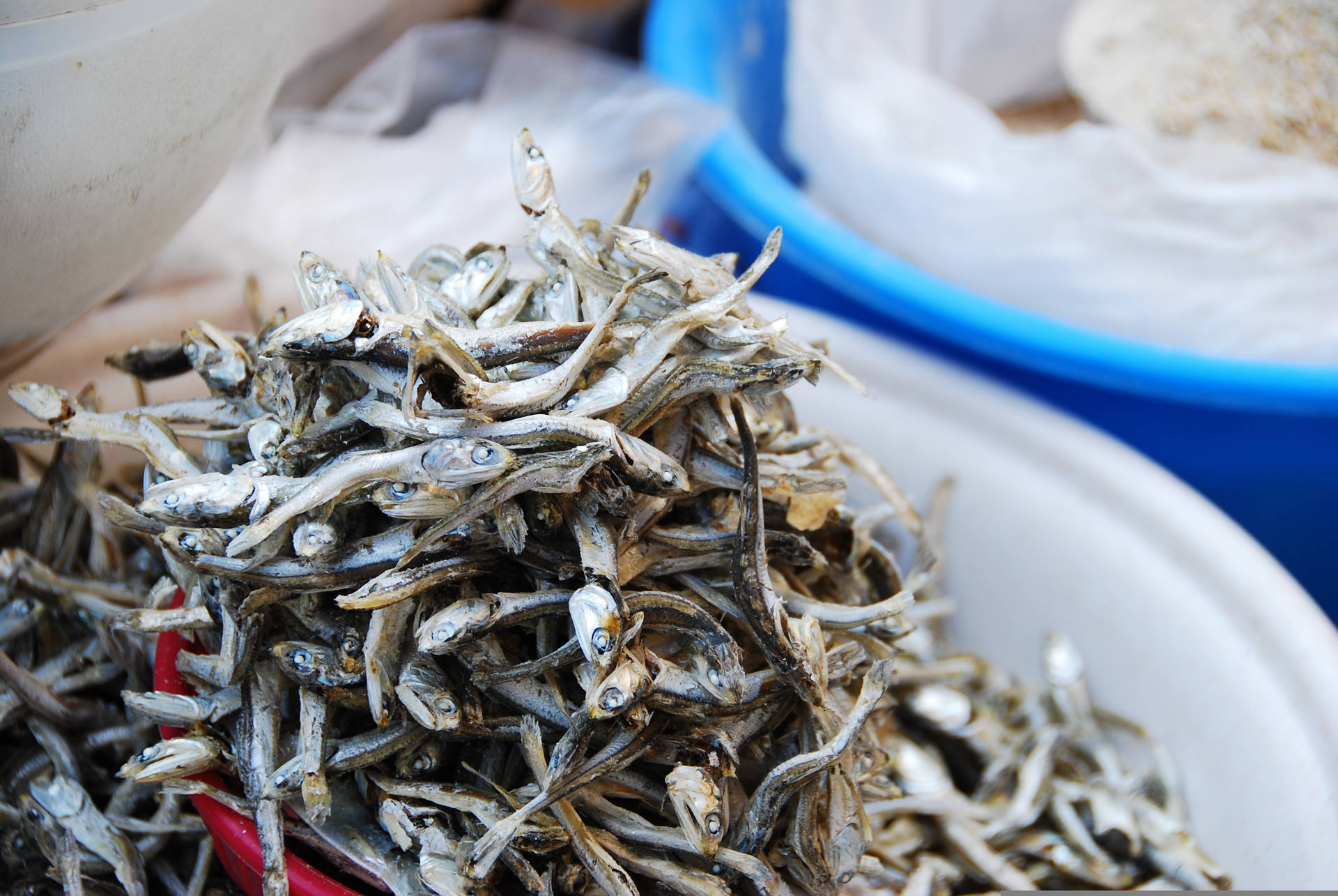 乾鳳尾魚堆放在白色市場碗中，旁邊有藍色容器。