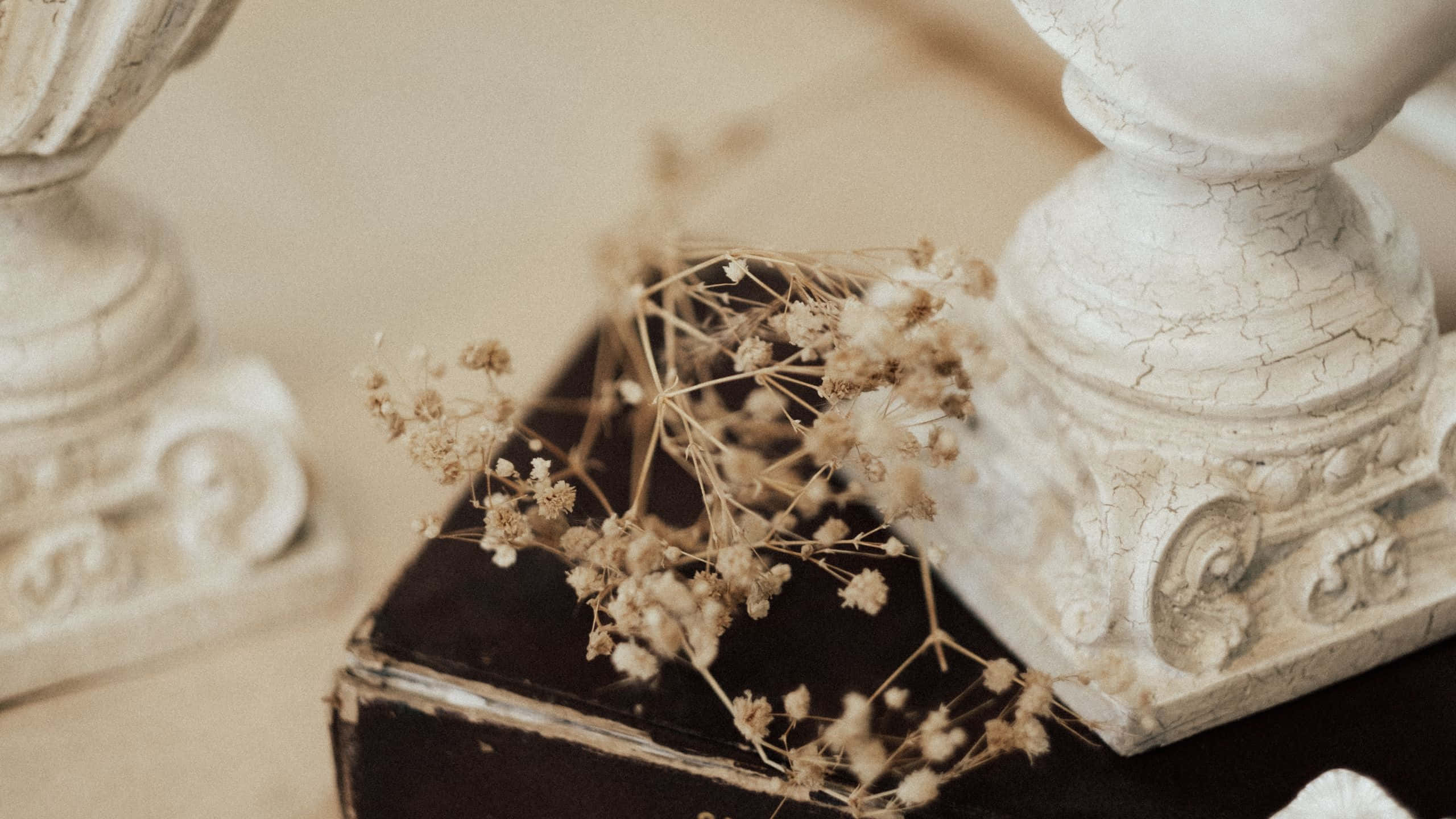 Vintage Aesthetic 桌布 壁紙 — 乾燥的滿天星放在一本深色書上，兩側是帶裂紋的白色華麗甕，色調柔和溫暖。