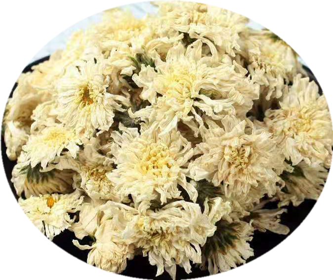 乾燥的菊花 壁紙 — 淡黃色乾菊花堆滿黑色碗中的特寫，背景為淺藍色紋理。