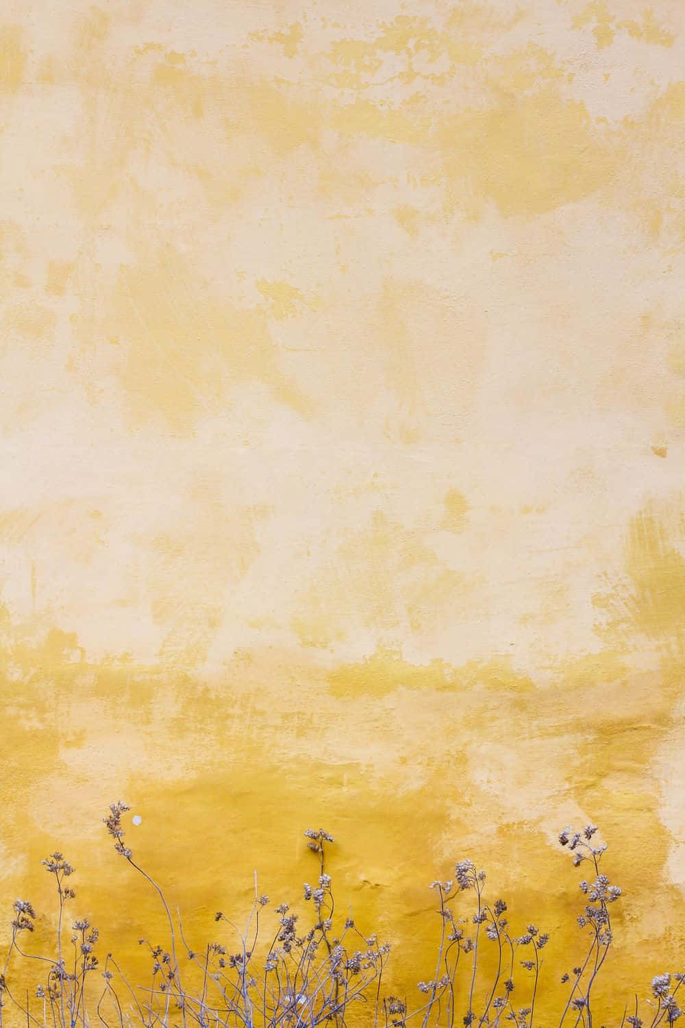 Yellow Painting 桌布 壁紙 — 乾草在帶有柔和漸變色調和細微筆觸細節的紋理黃色牆壁上搖曳。
