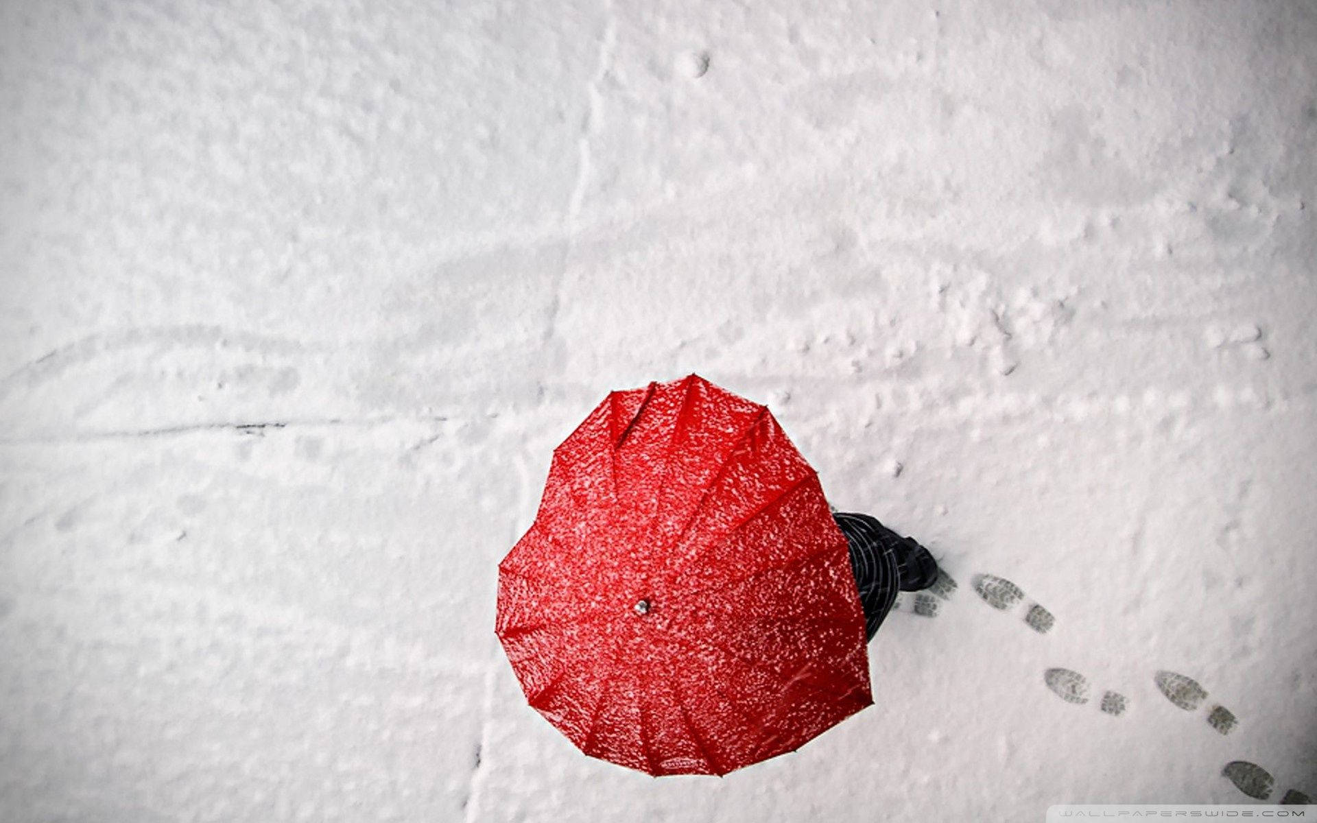 雪中的紅色雨傘，腳印延伸開去。
