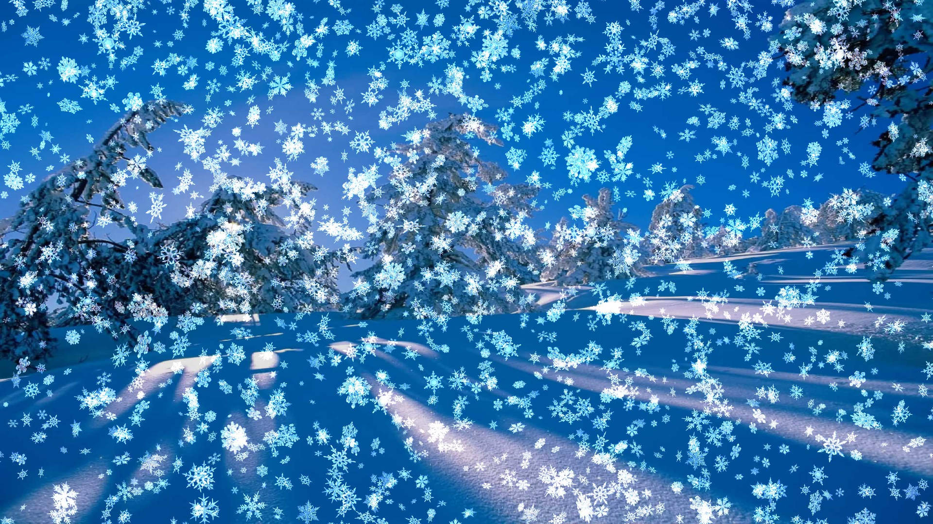 雪花飄落在白雪覆蓋的樹木上，背景是清澈的藍天。
