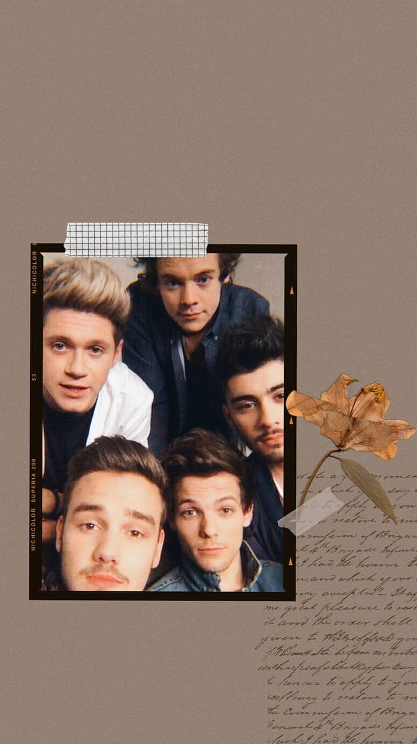 One Direction Aesthetic 桌布 壁紙 — 五位年輕男子在一個復古相框內，帶有手寫文字和一朵乾花，背景為柔和的米色。