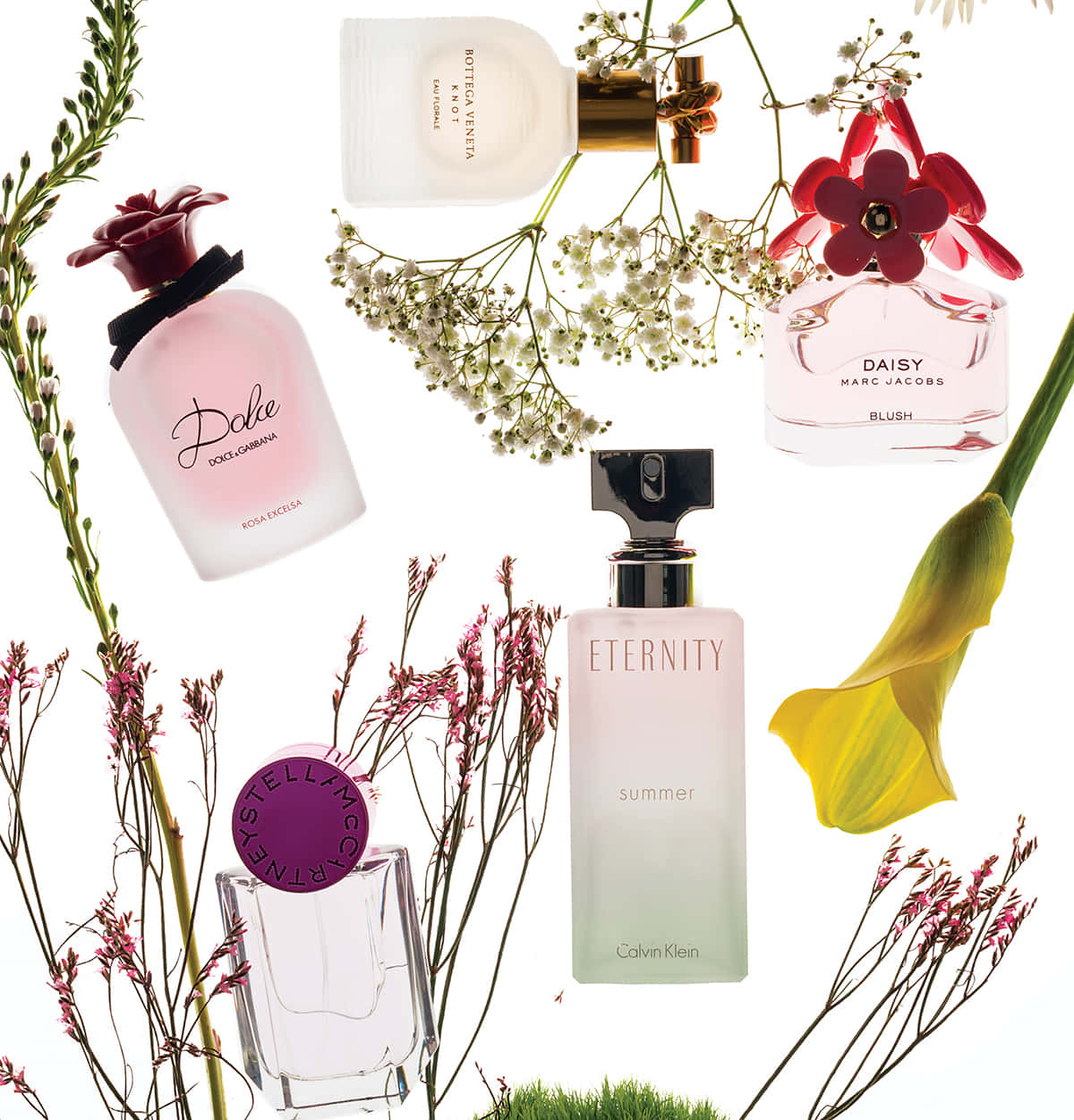 Spring Perfume 桌布 壁紙 — 五個帶有花卉蓋和莖的香水瓶，在白色背景上與野花一起排列。