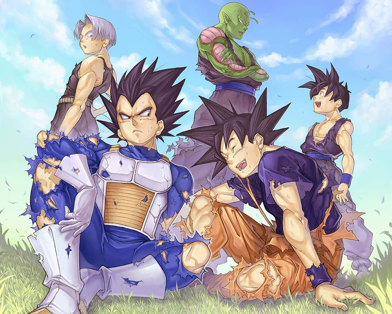 Vegeta And Trunks 桌布 壁紙 — 五個龍珠角色一起坐在草地上，頭上是晴朗的藍天和白雲。
