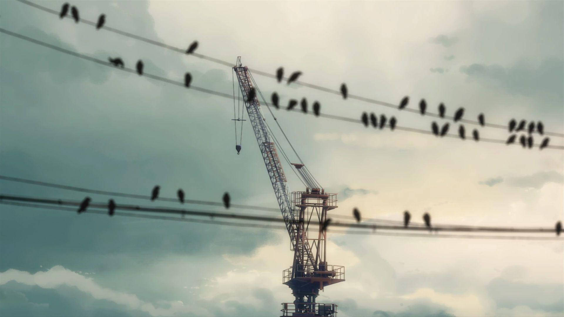 鳥兒在陰天下的建築起重機附近的電線上休息。