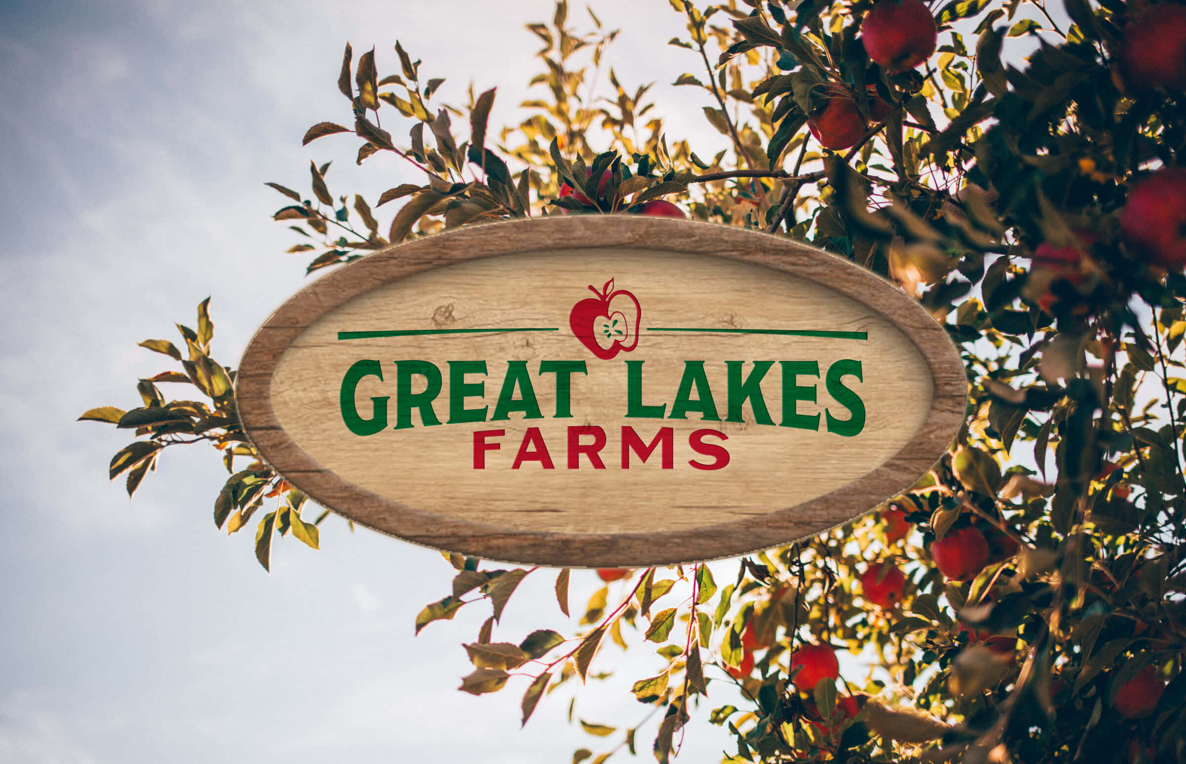 五大湖農場圖 壁紙 — 一個質樸的木製招牌，上面寫著 Great Lakes Farms，掛在陽光普照、結滿成熟紅蘋果的蘋果樹枝之間。