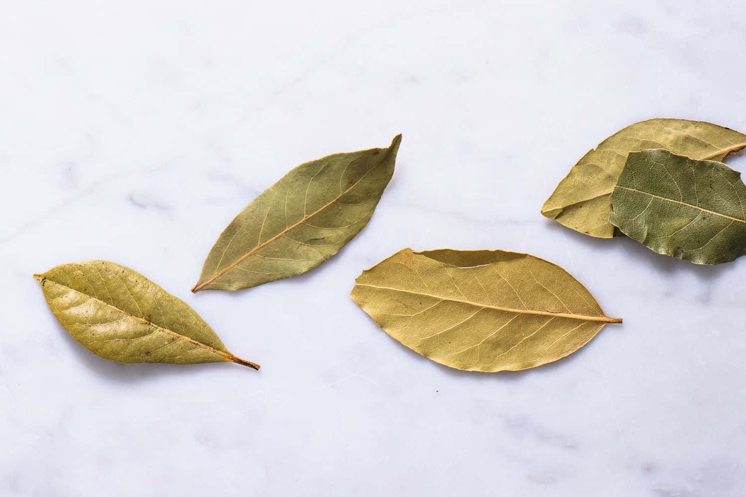 Leaves 桌布 壁紙 — 五片帶有金綠色色調的乾燥月桂葉，放置在潔淨的白色大理石表面上。