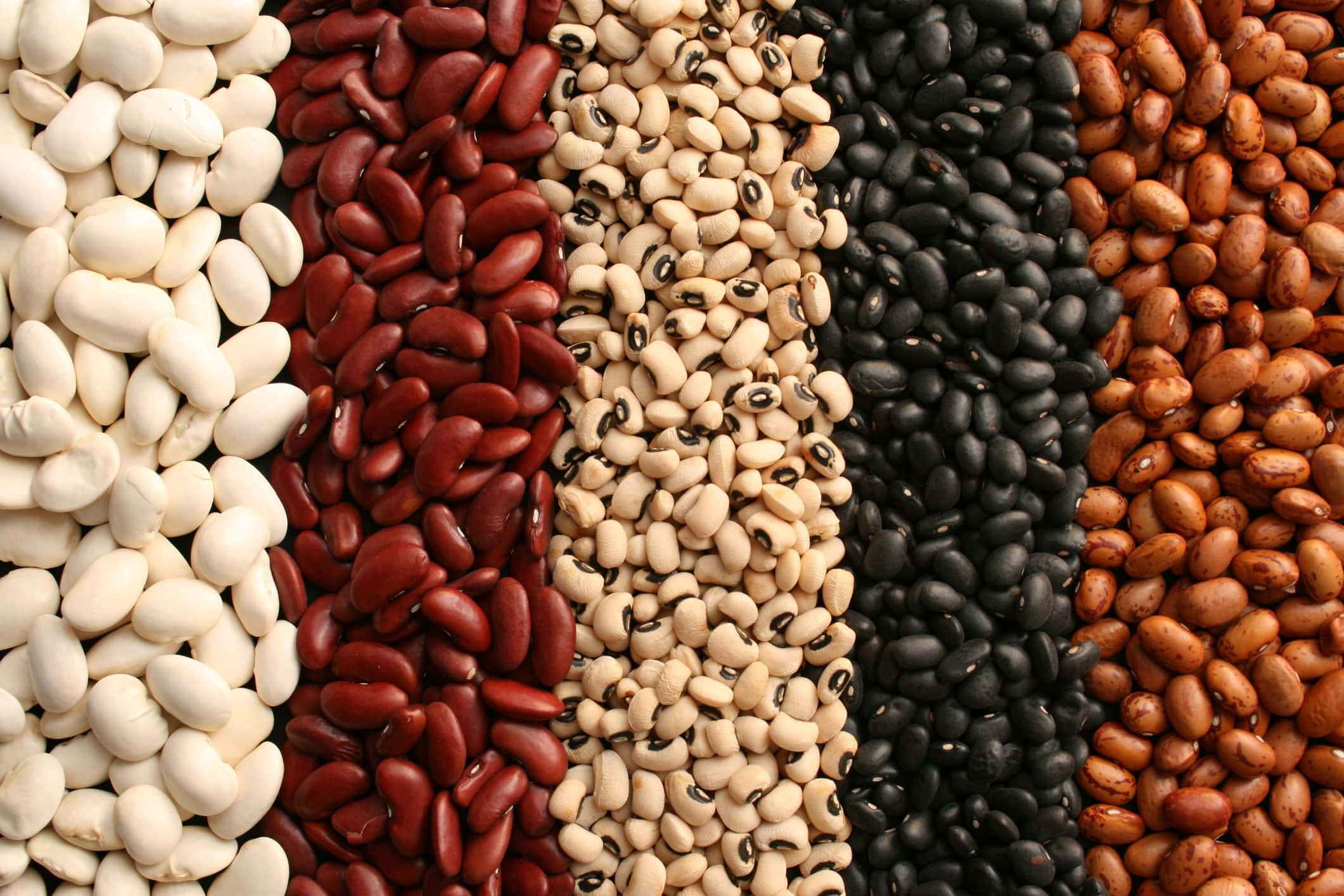 beans 桌布 壁紙 — 五種不同豆類的鮮明特寫，整齊排列成垂直條紋，展示出乳白色、深紅色、斑點米色、亮黑色和土褐色調。