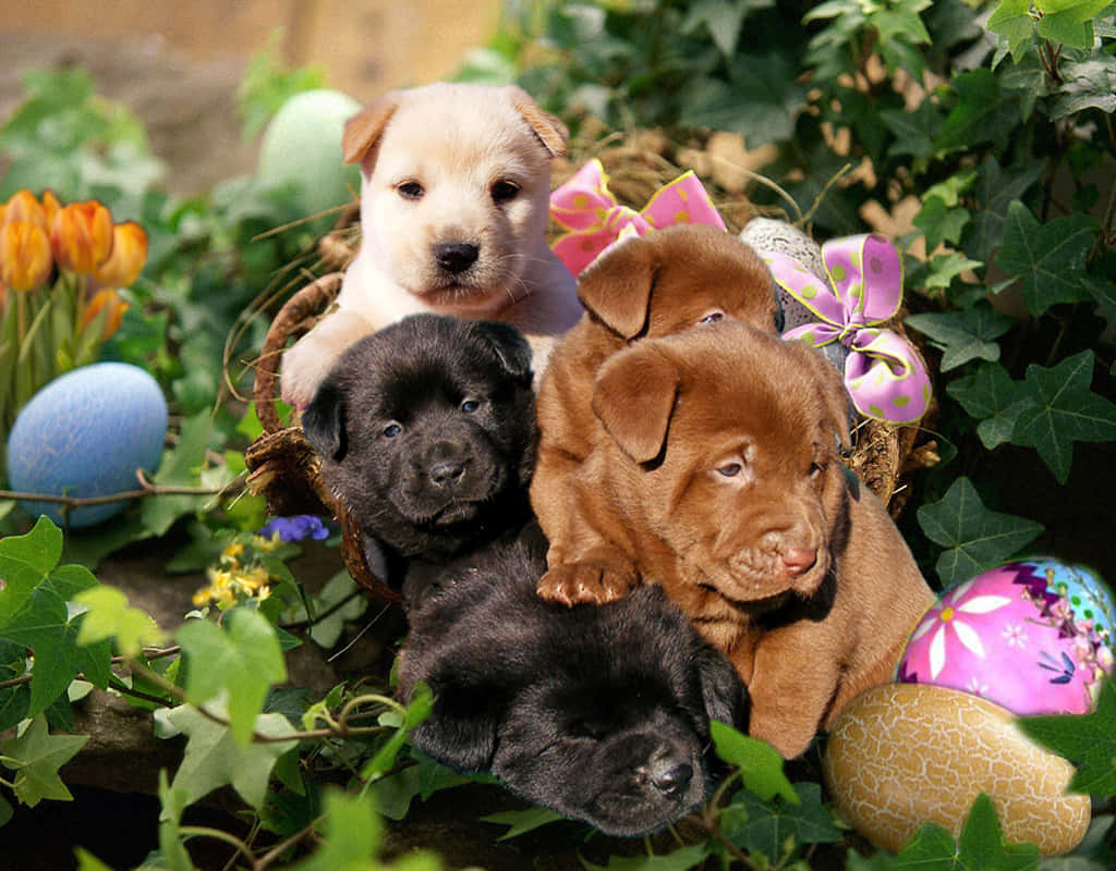 Puppies 桌布 壁紙 — 五隻不同顏色的可愛小狗窩在一個籃子裡，周圍環繞著復活節彩蛋和春天的花朵。