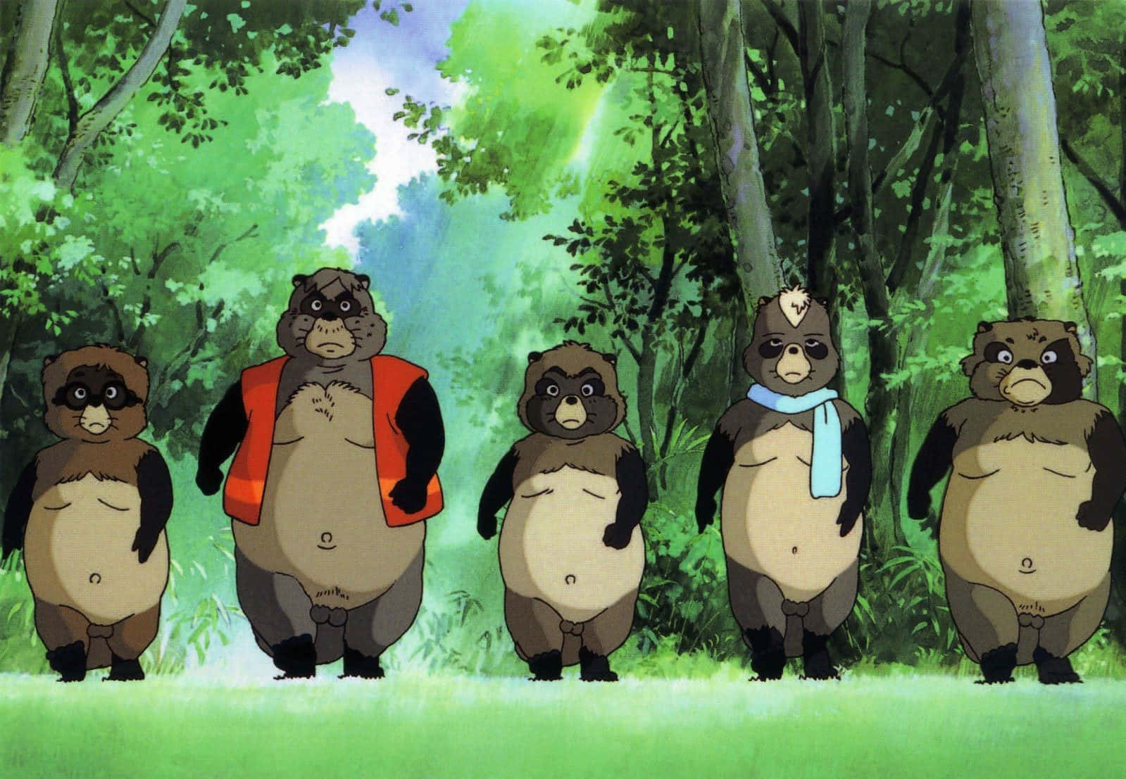 pom poko 桌布 壁紙 — 五隻胖嘟嘟的動畫浣熊站在陽光明媚的森林空地中，周圍是茂密的綠樹和斑駁的光影。